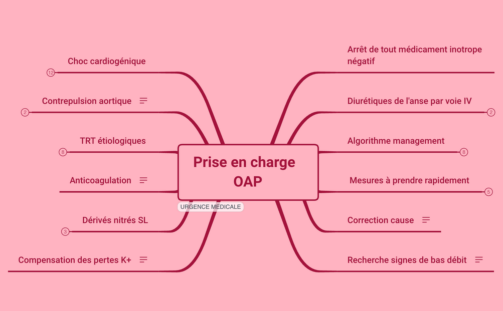 Prise en charge OAP preview 1