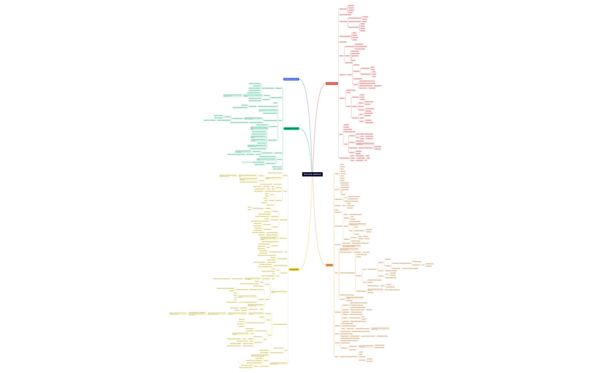 BlankMap - XMind Template