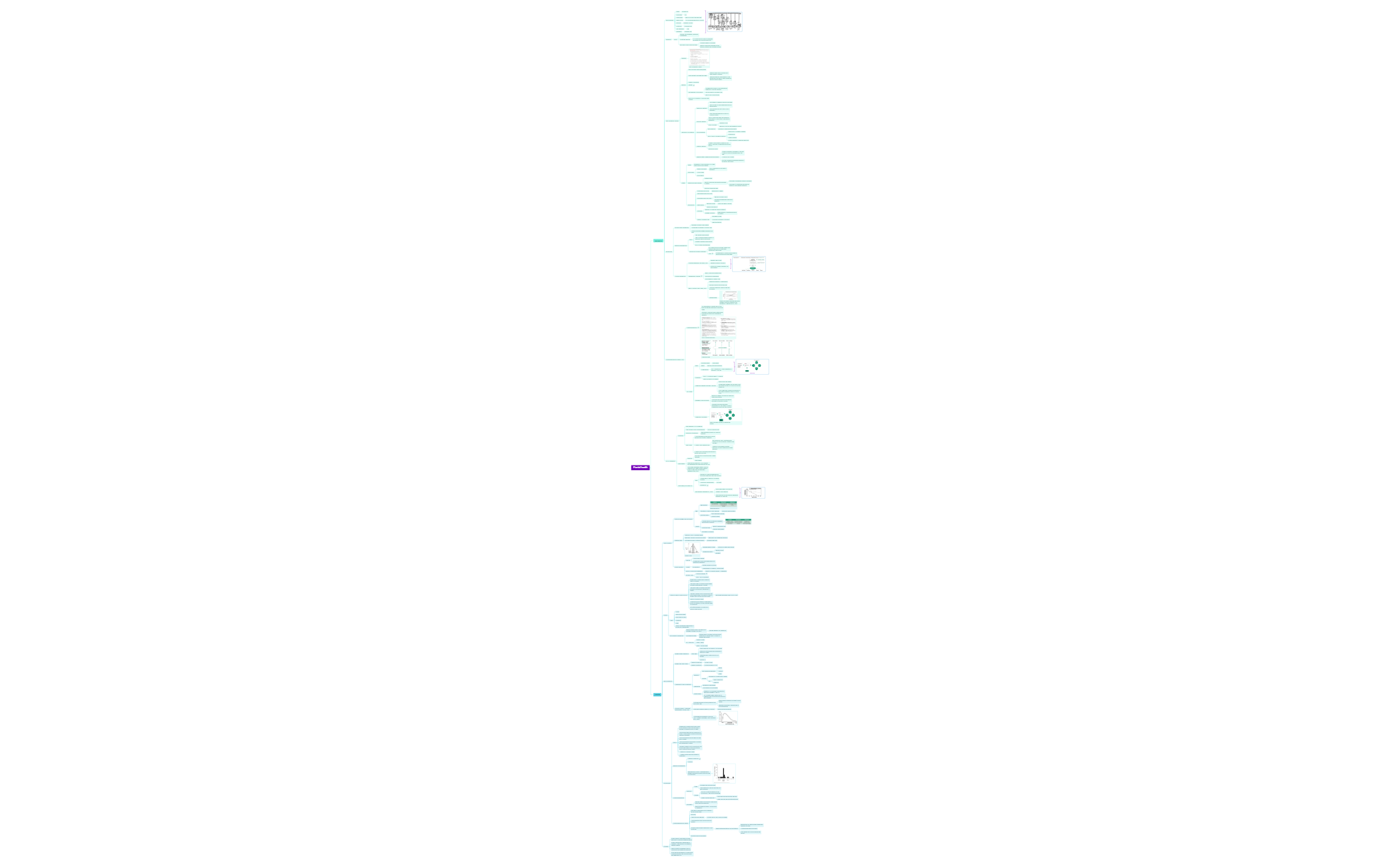 Main Revision.xmind - XMind Template
