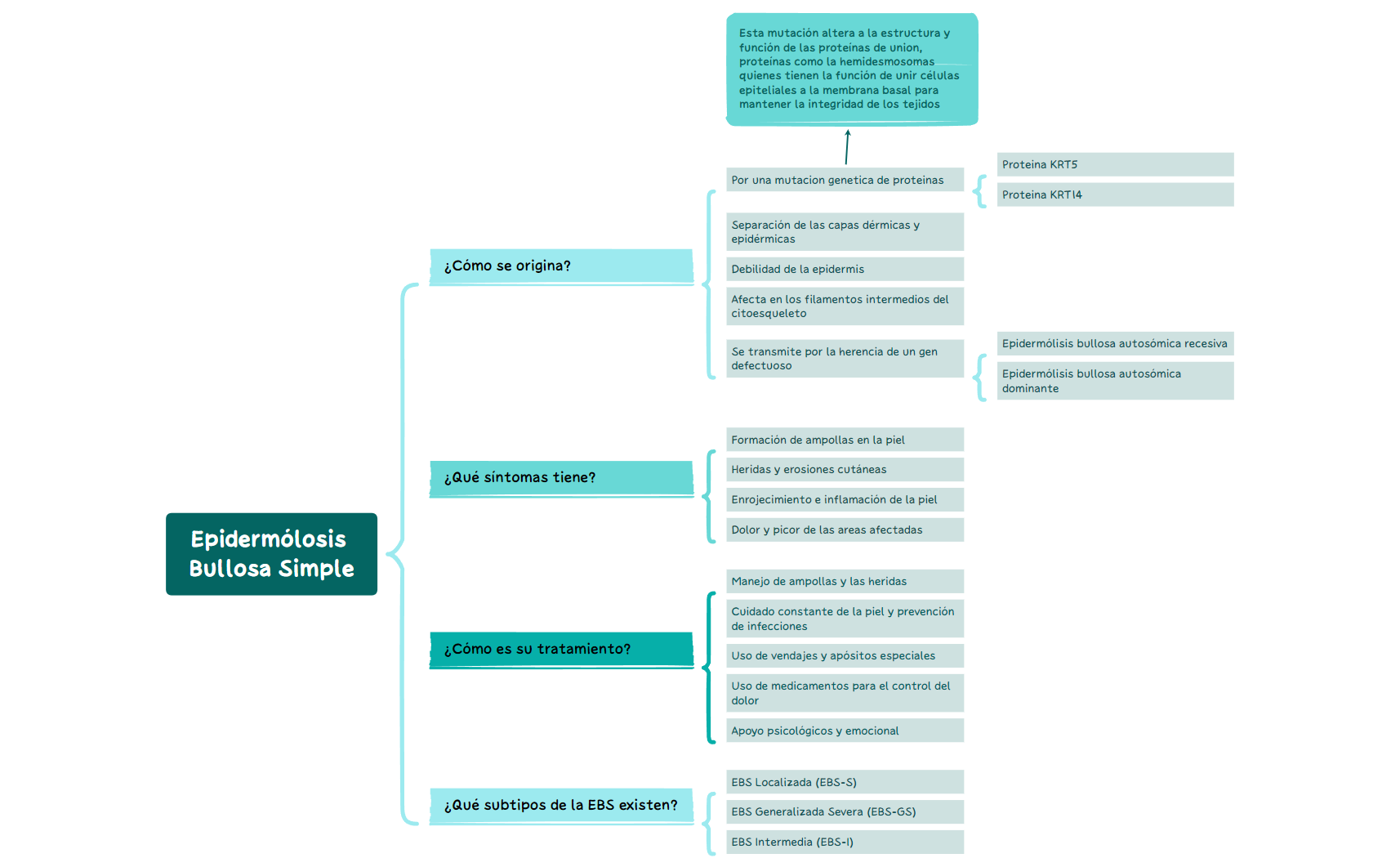 Epidermólosis Bullosa Simple.xmind preview 1