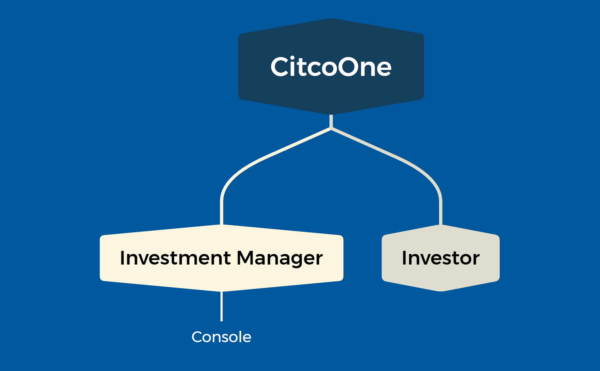 CitcoOne preview 1
