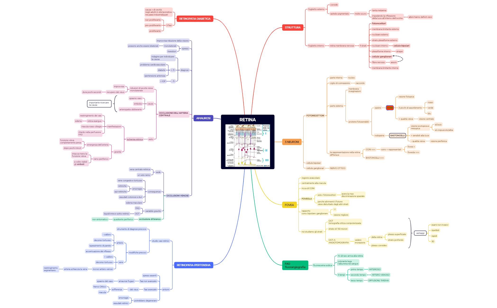 5. RETINA preview 1