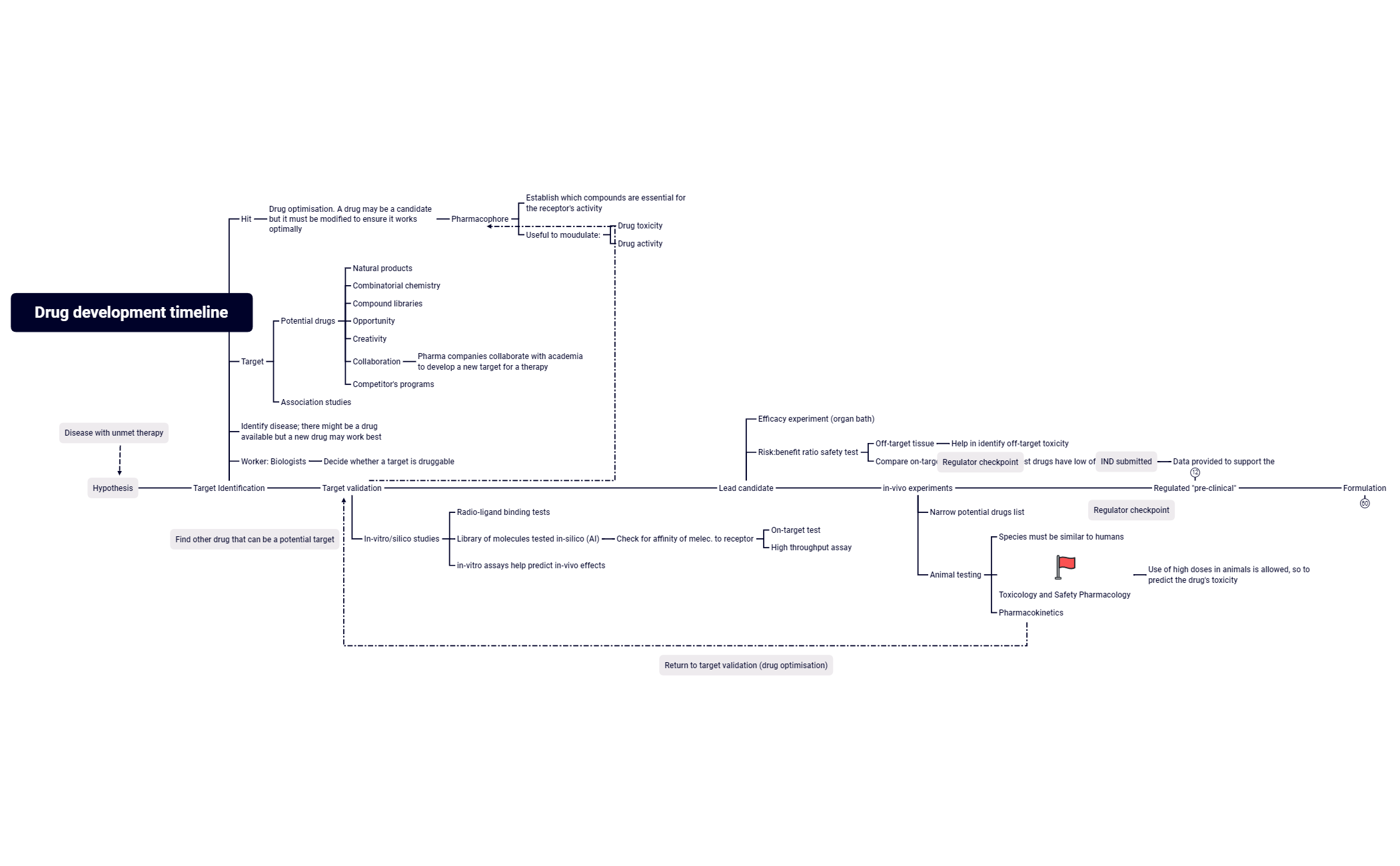 Drug development timeline - XMind Template