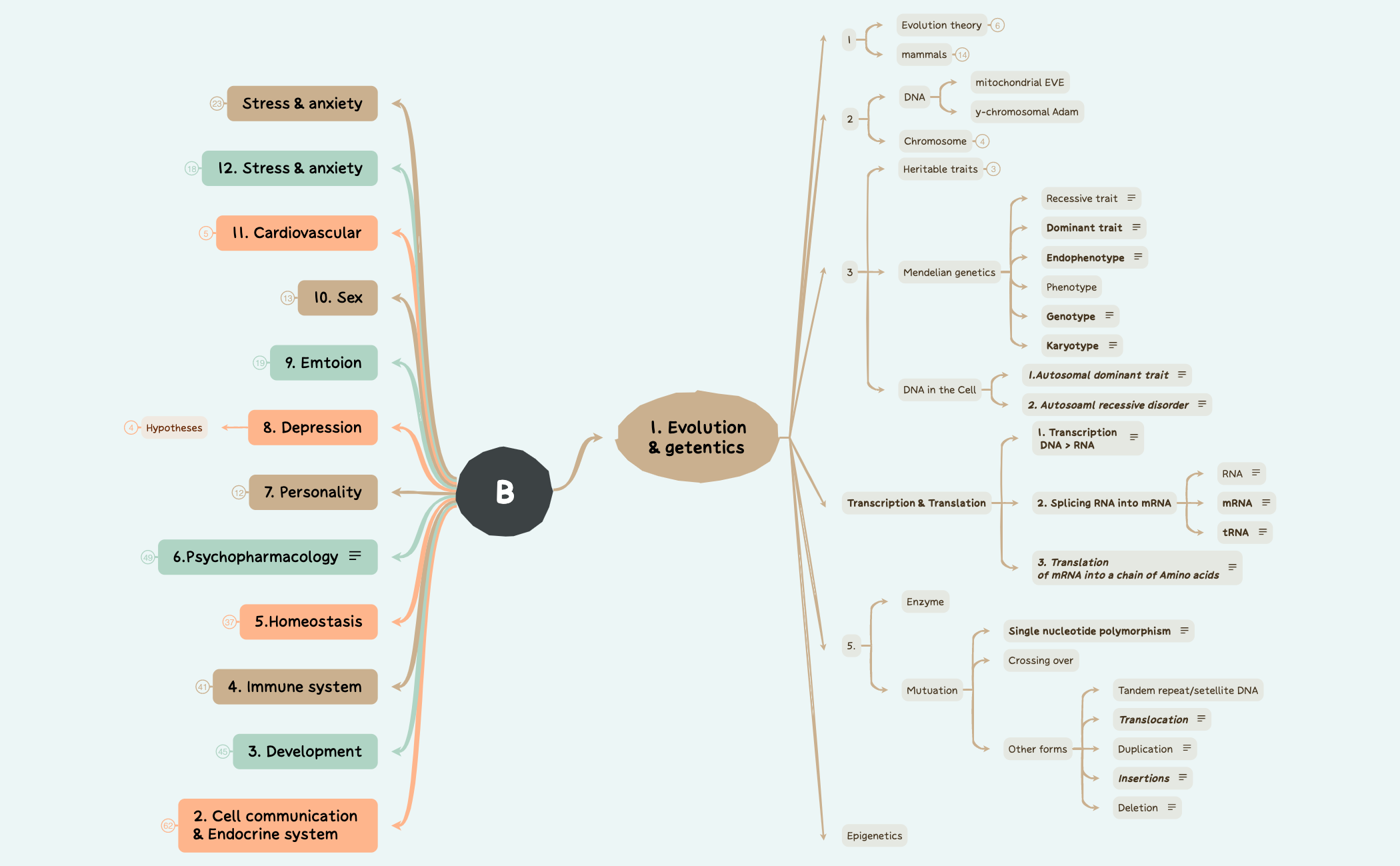 biology - XMind Template