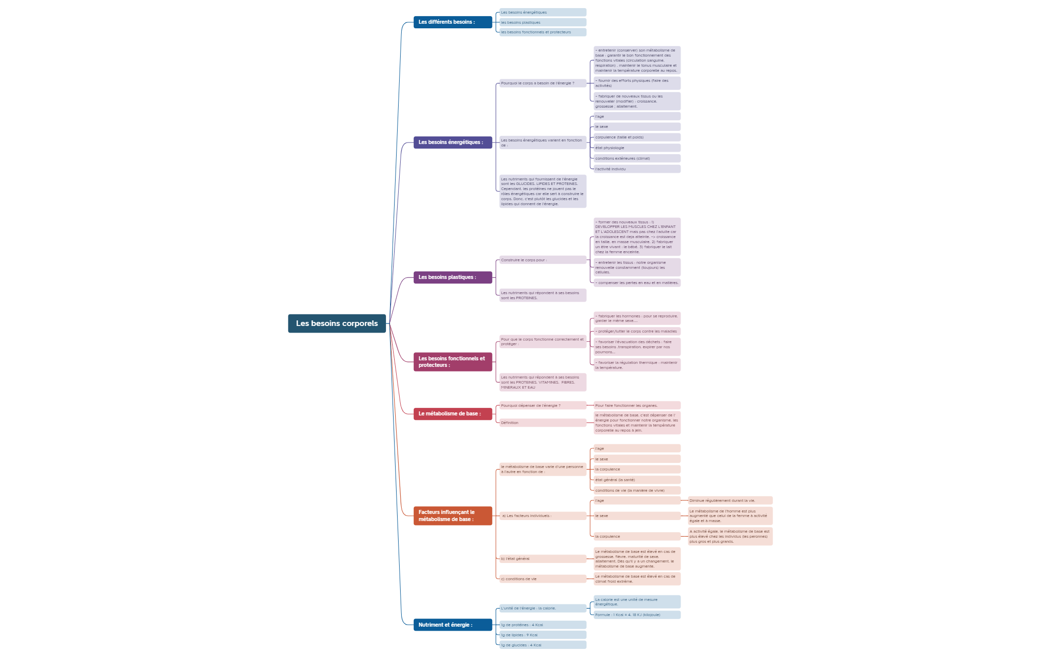 Les besoins corporels.xmind preview 1