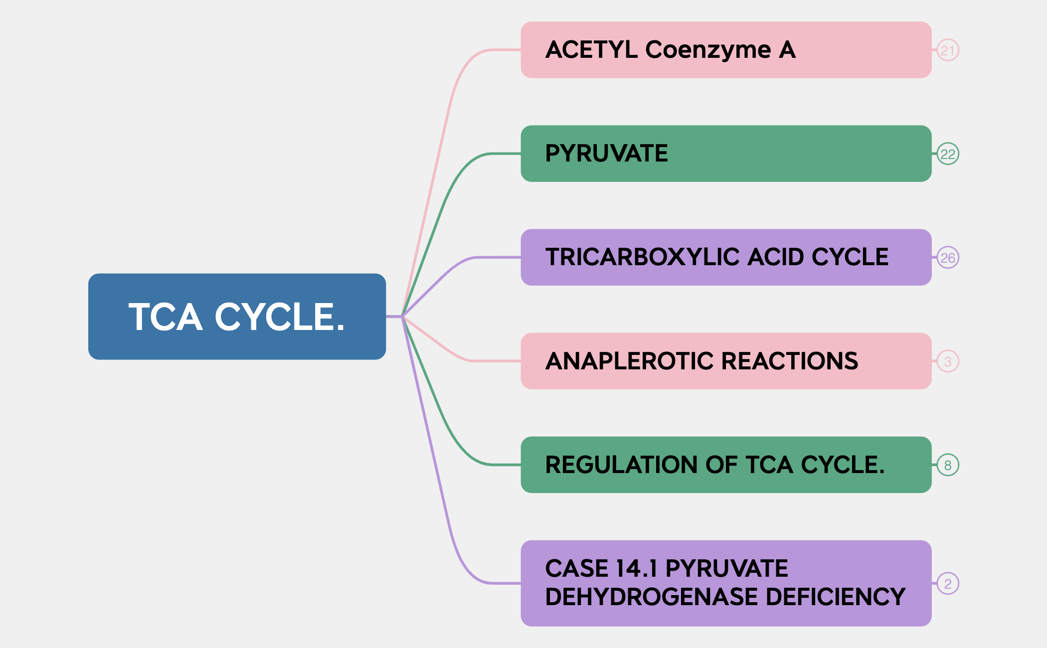 TCA CYCLE. preview 1