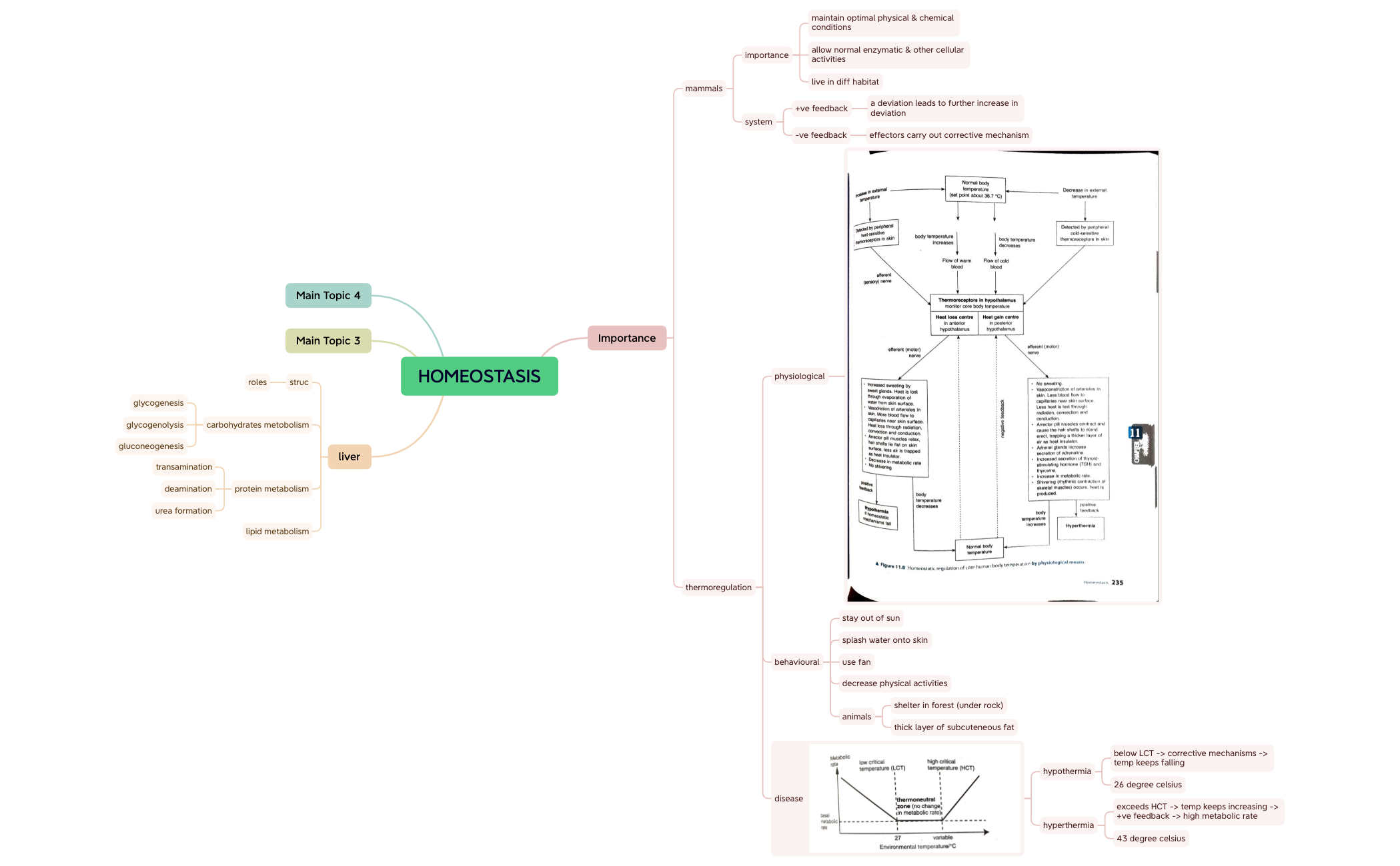 BIO SEM2 C11 HOMEOSTASIS preview 1