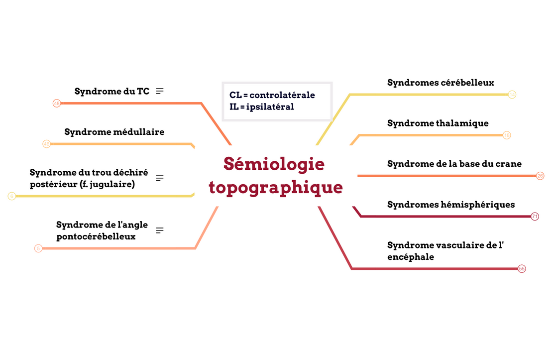 Sémiologie topographique preview 1