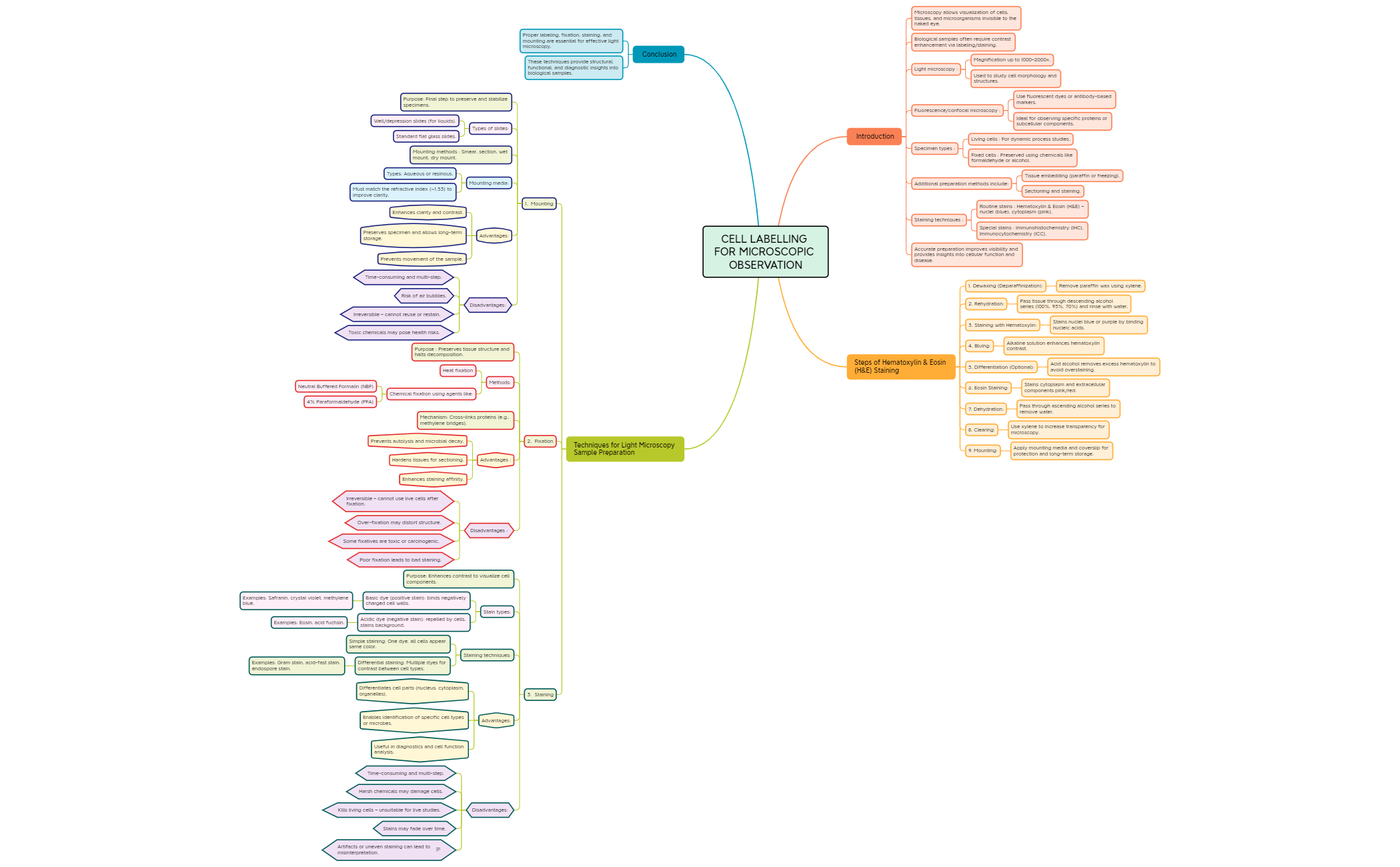 cbt assignment (1) preview 1