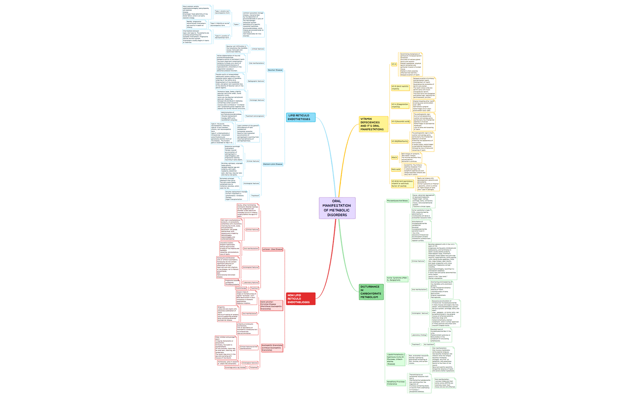 Template Mindmap.xmind.xmind preview 1