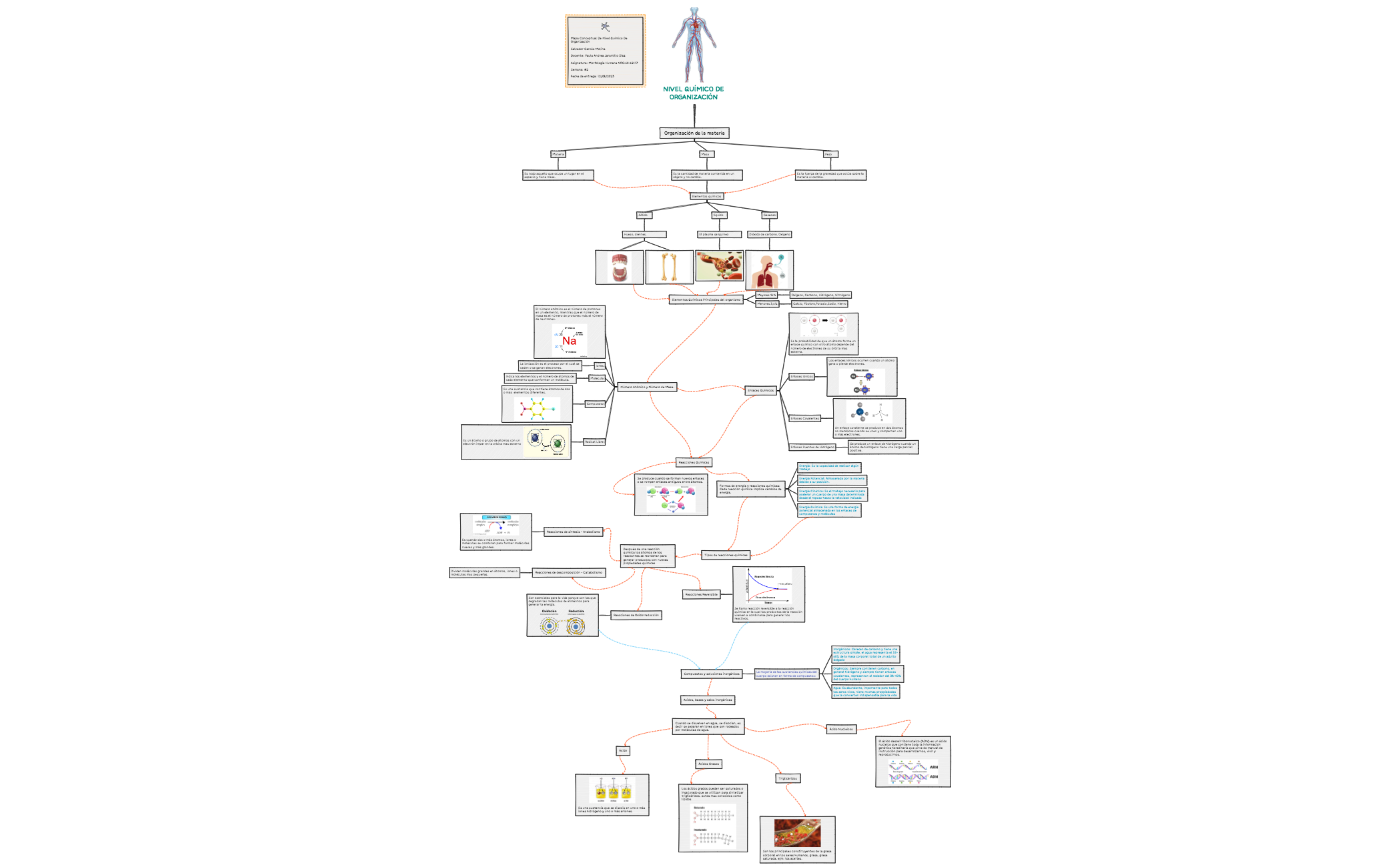 NIVEL QUÍMICO DE ORGANIZACIÓN preview 1