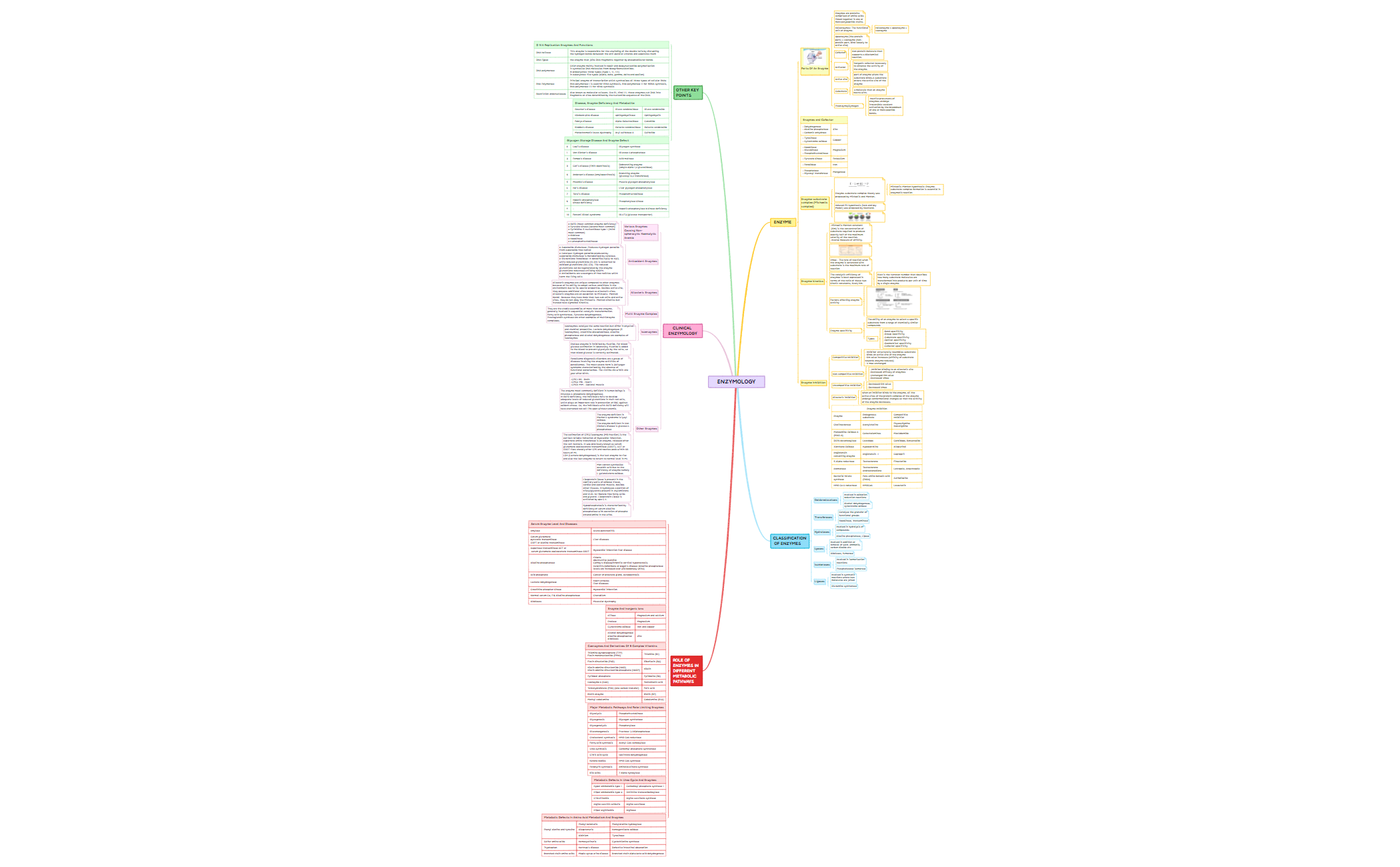 ENZYMES.xmind preview 1