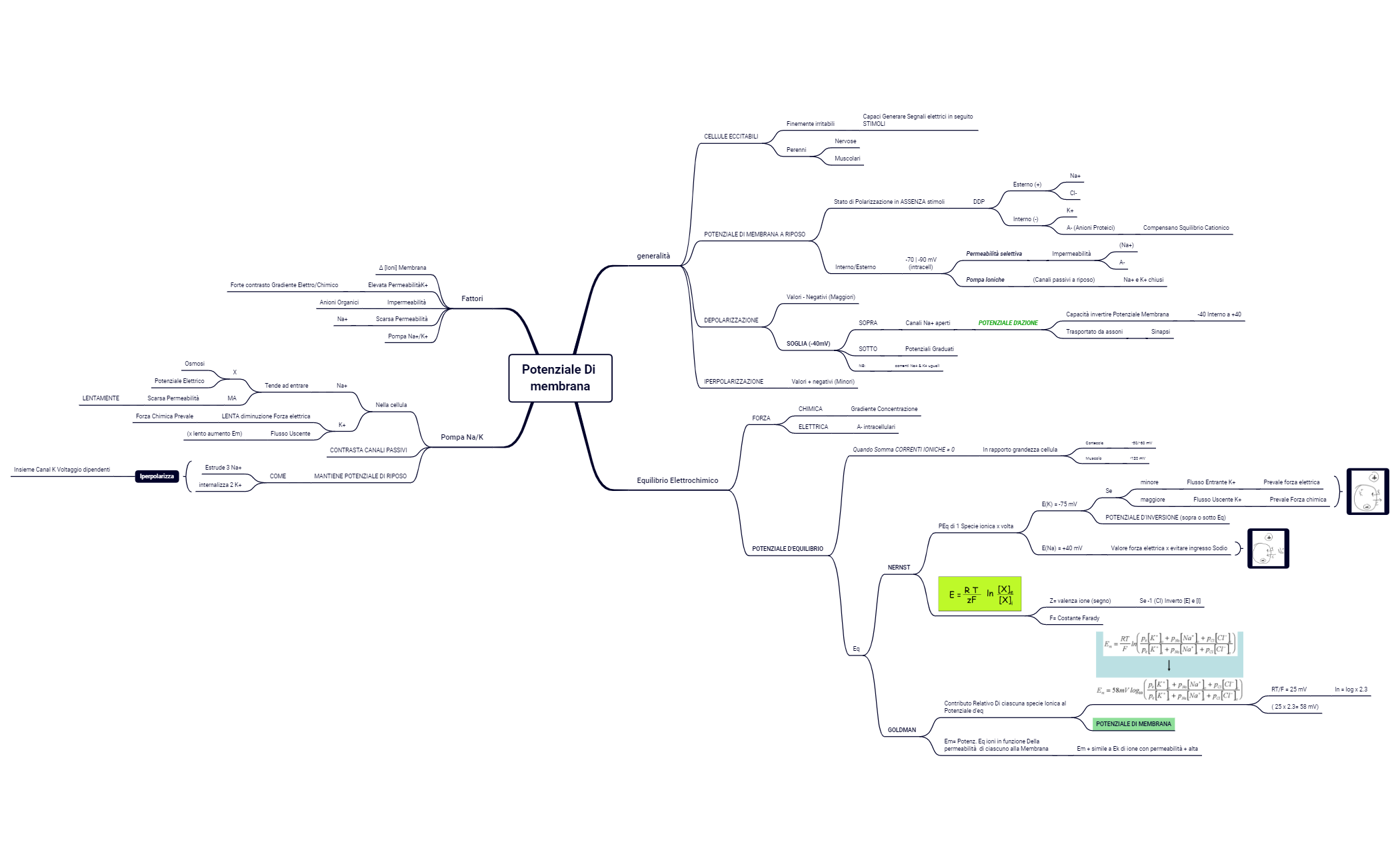 3. Potenziale Di membrana.xmind preview 1