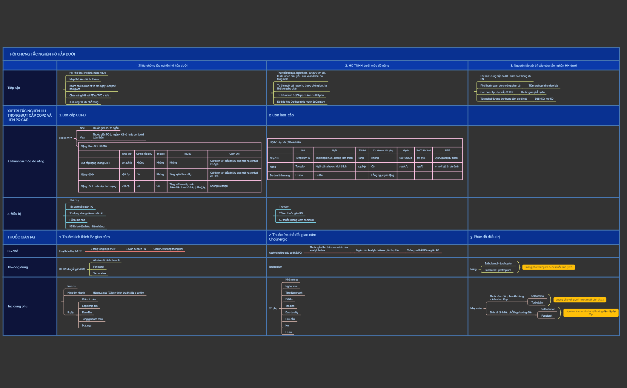 HỘI CHỨNG TẮC NGHẼN HÔ HẤP DƯỚI  preview 1