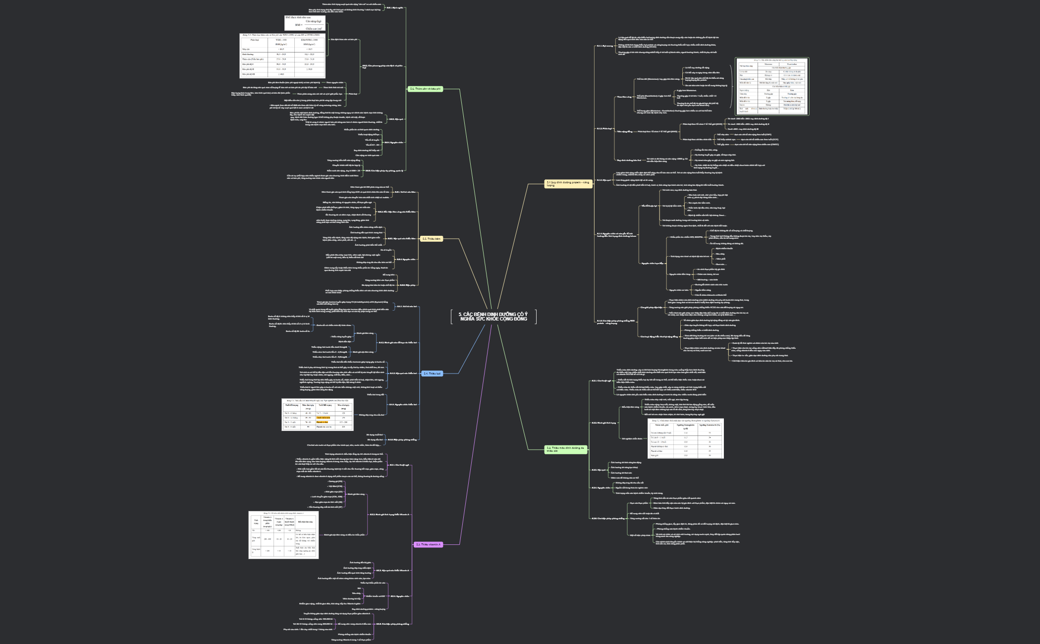 Business Plan - XMind Template