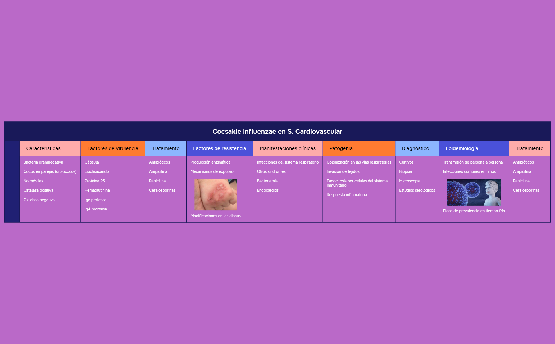 Cocsakie Influenzae en S. Cardiovascular preview 1
