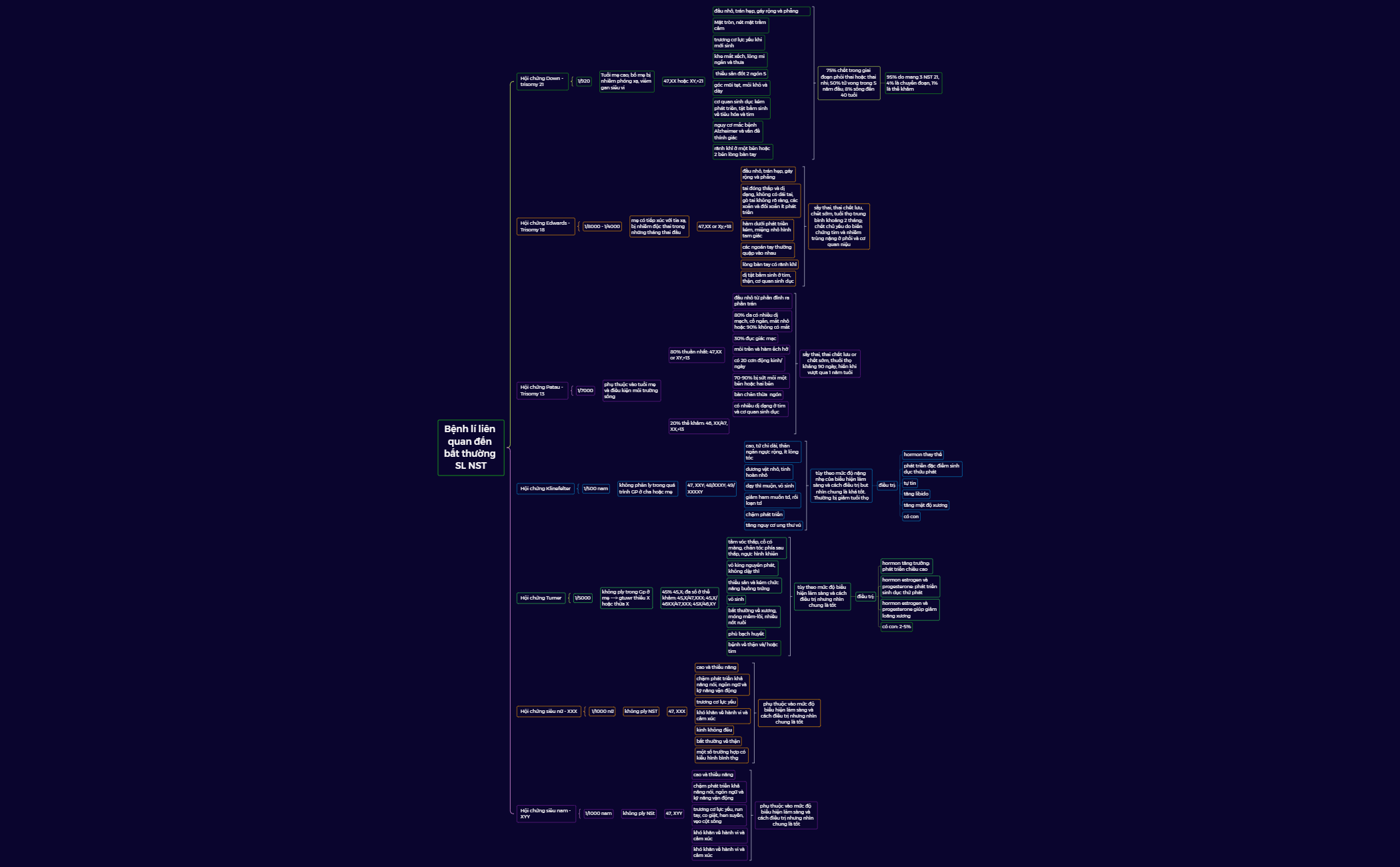 fileX preview 1