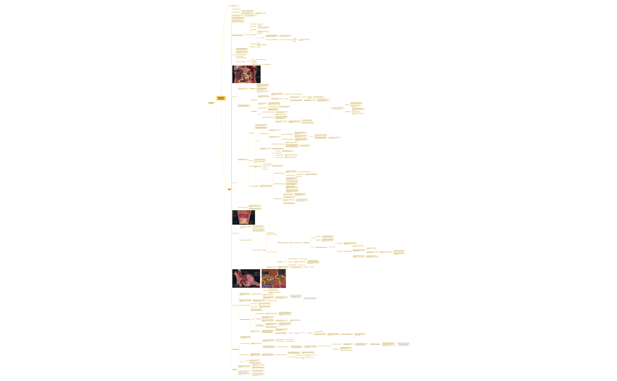 Mappa 1 preview 1