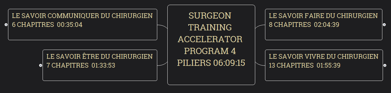 Surgeon Training Accelerator Program 4 piliers 06:09:15  preview 1