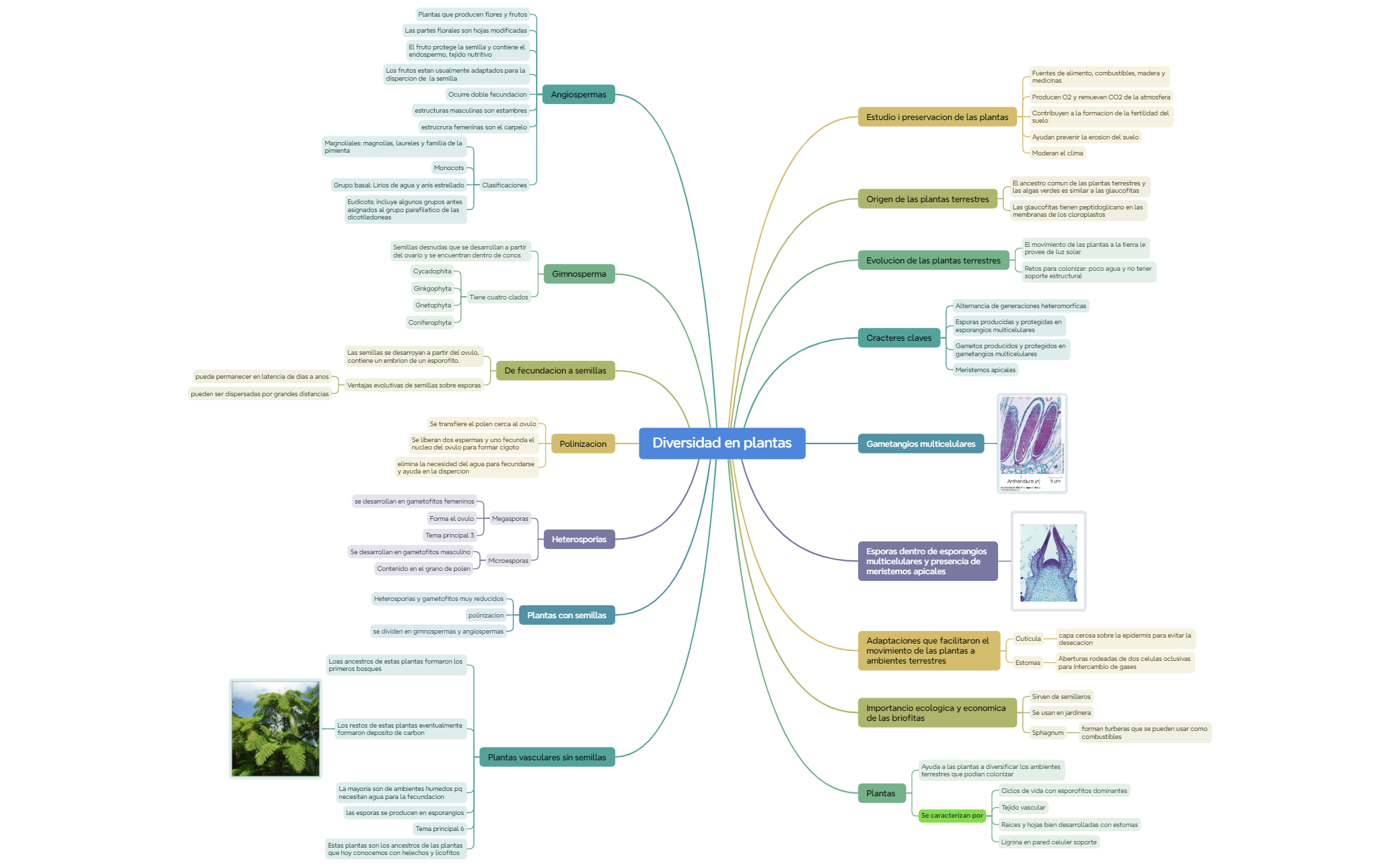 Mapa 1 preview 1