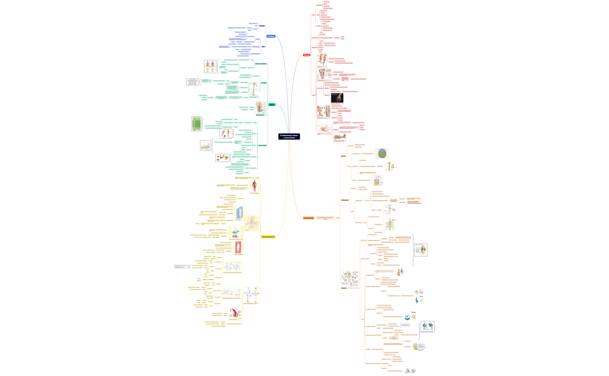 Mapa 1 - XMind Template