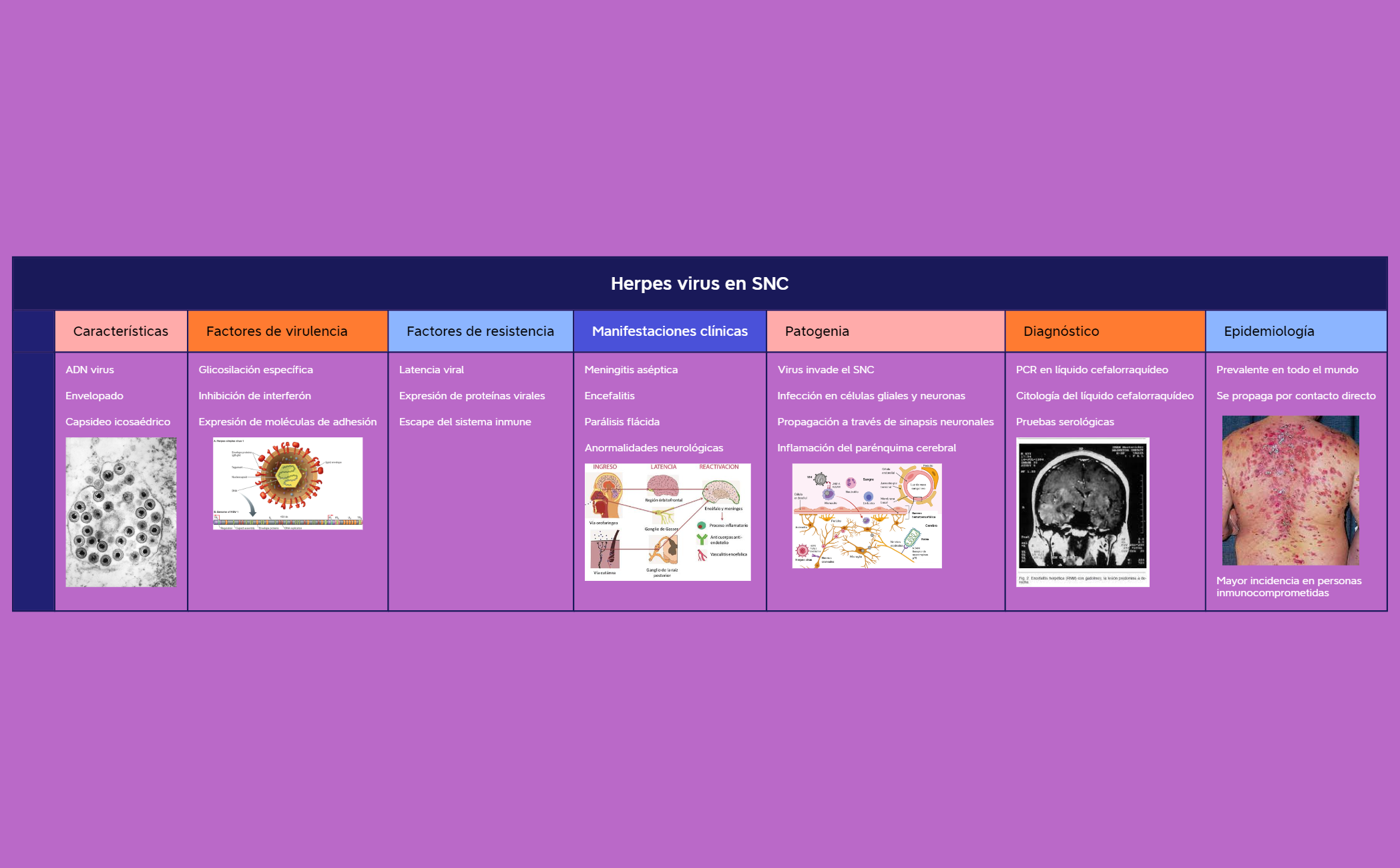 Herpes virus en SNC preview 1