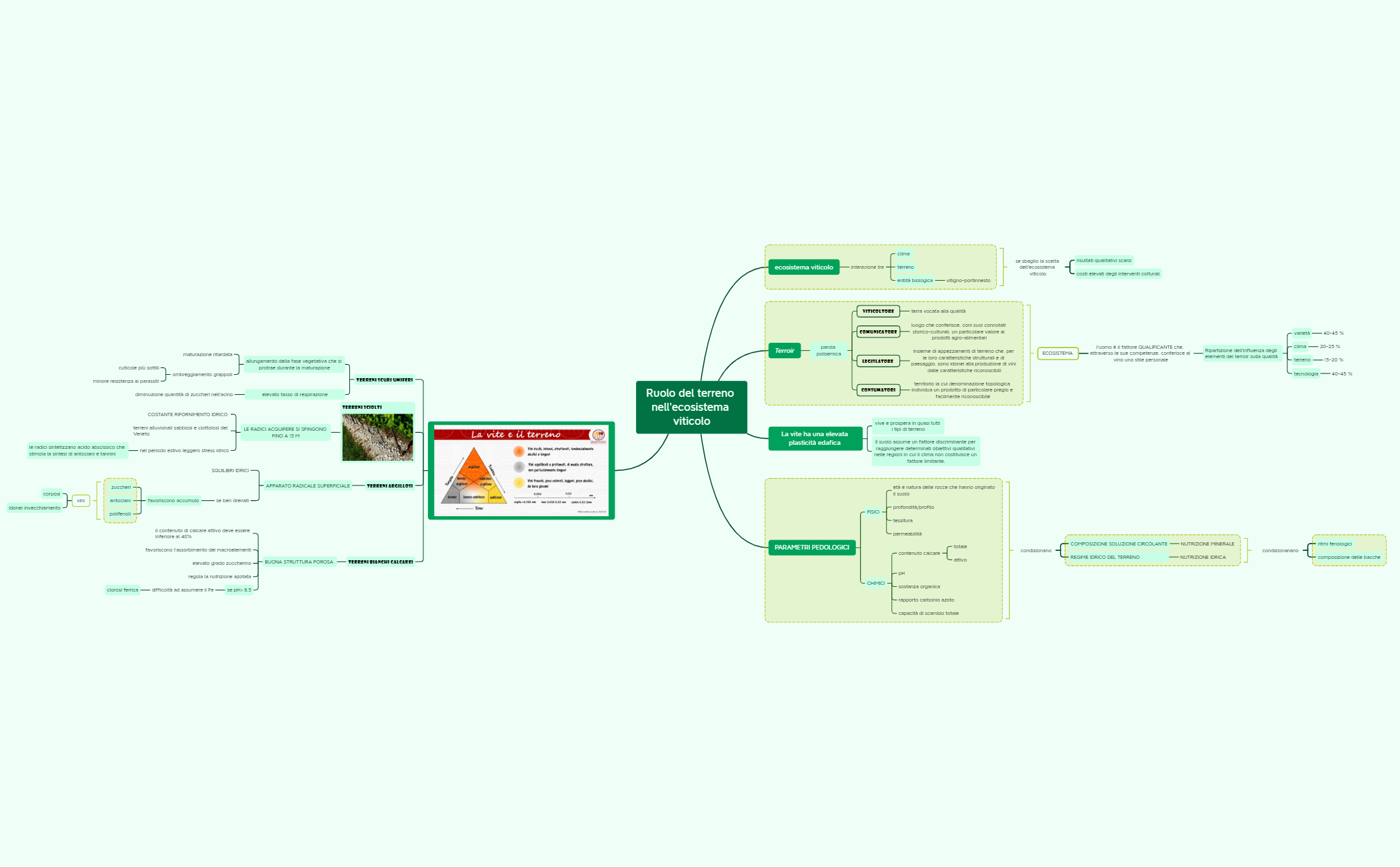 Ruolo del terreno nell'ecosistema viticolo preview 1