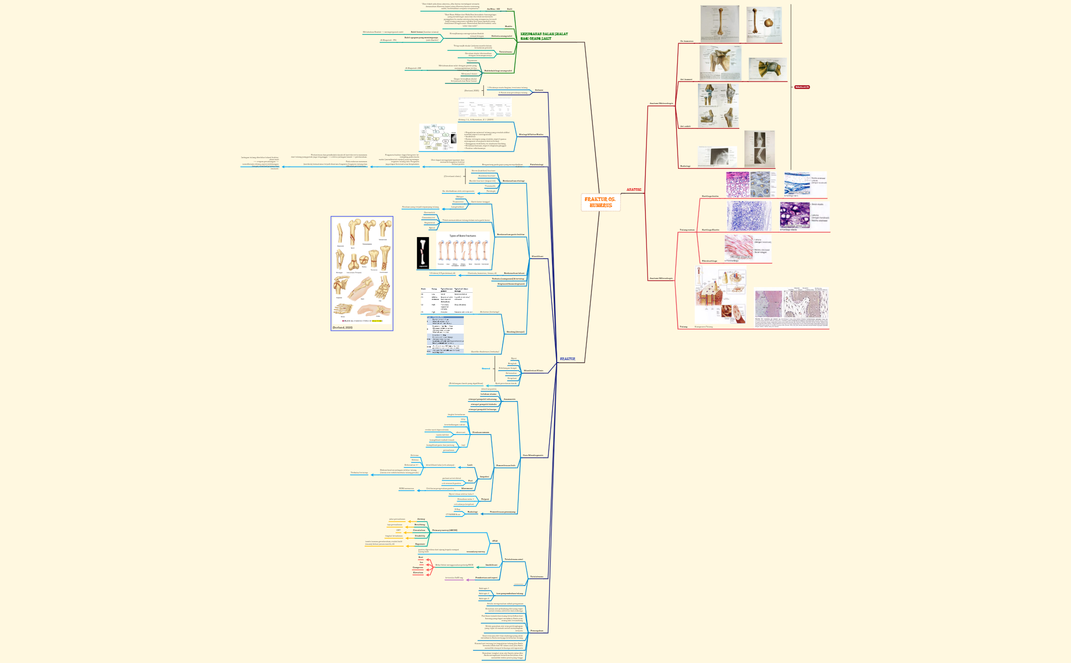 FRAKTUR OS. HUMERUS mind map preview 1