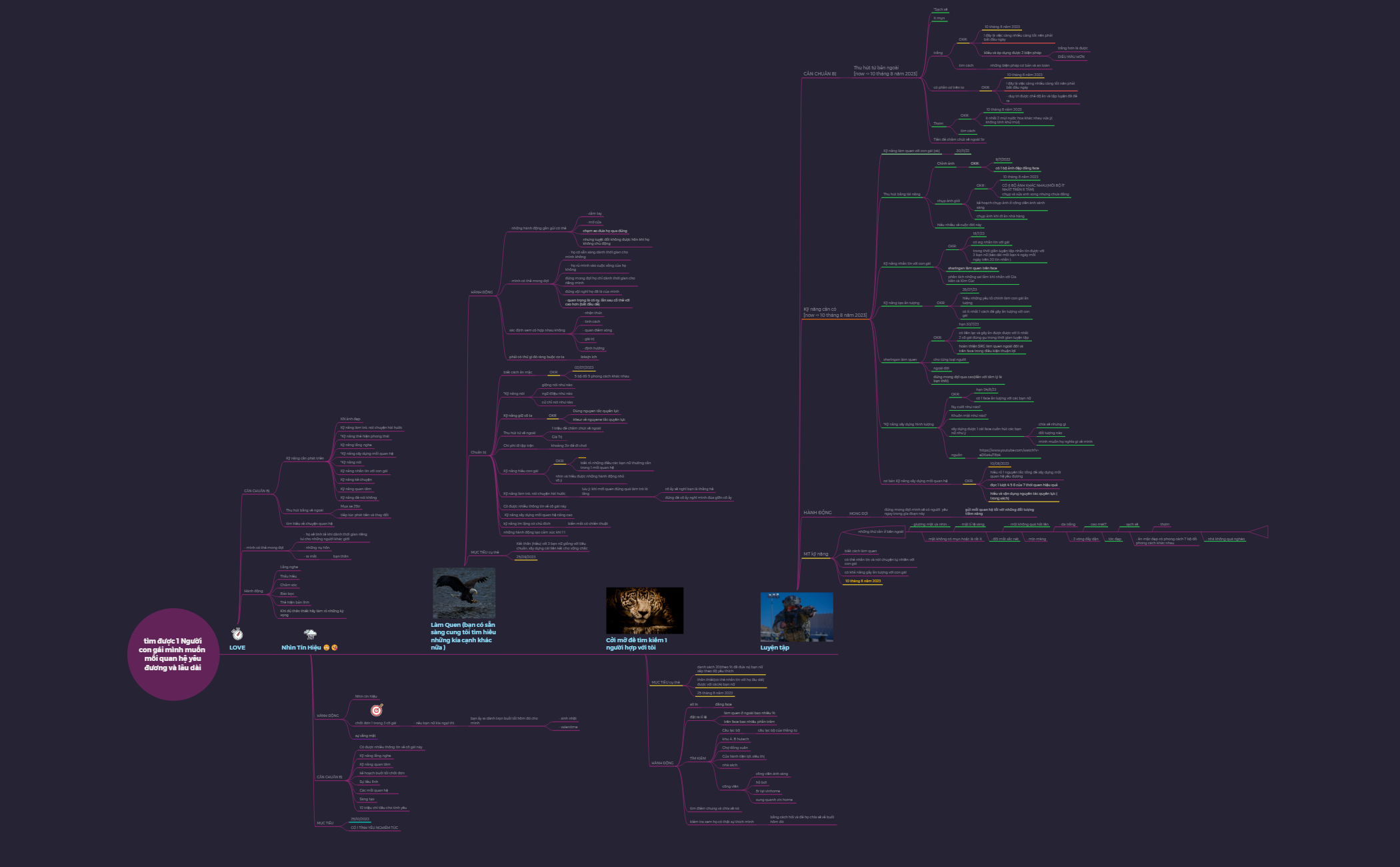 kế hoạch MTYU B preview 1