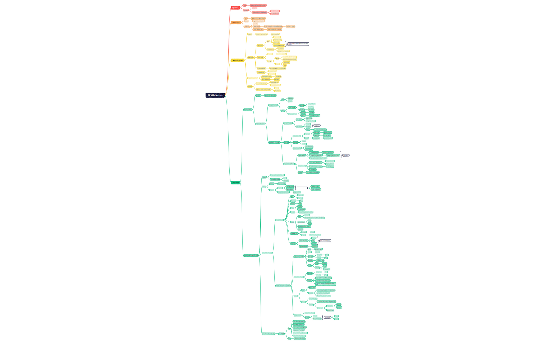 Struttura cuore preview 1