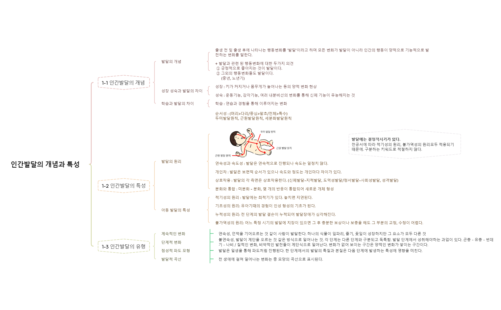인간발달의 개념과 특성 preview 1