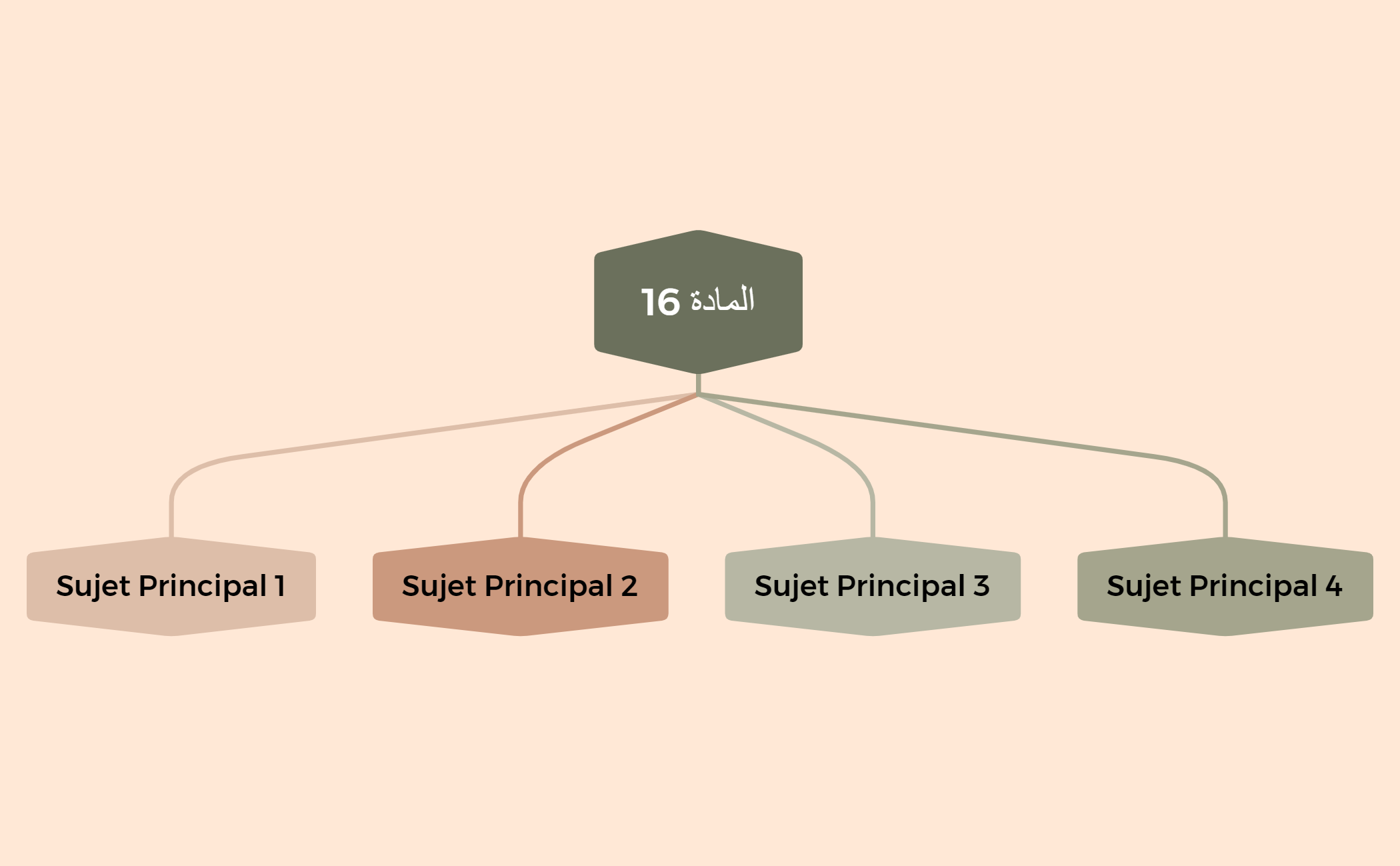 المادة 16 preview 1
