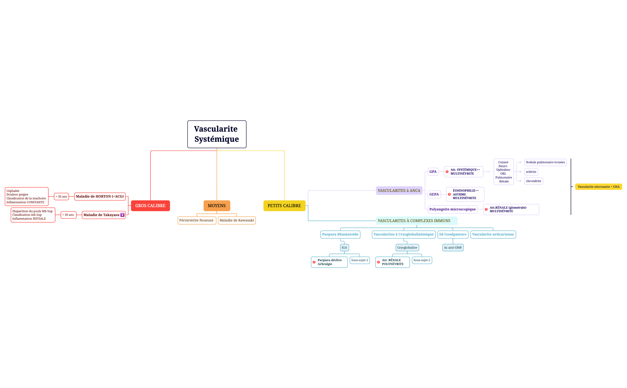 ALGO BY.me Vascularite Systémique preview 1
