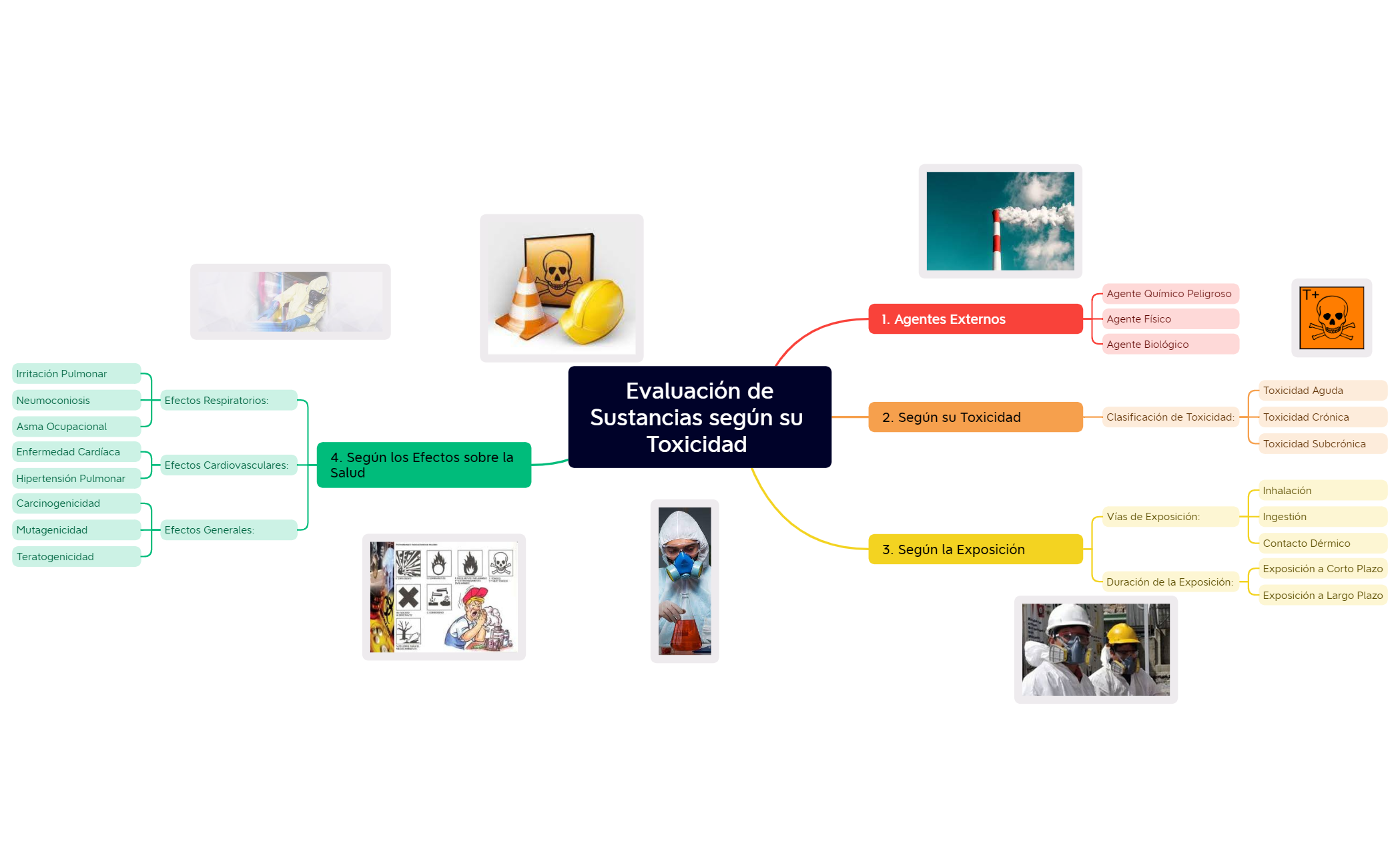 mapa mental toxicidad preview 1