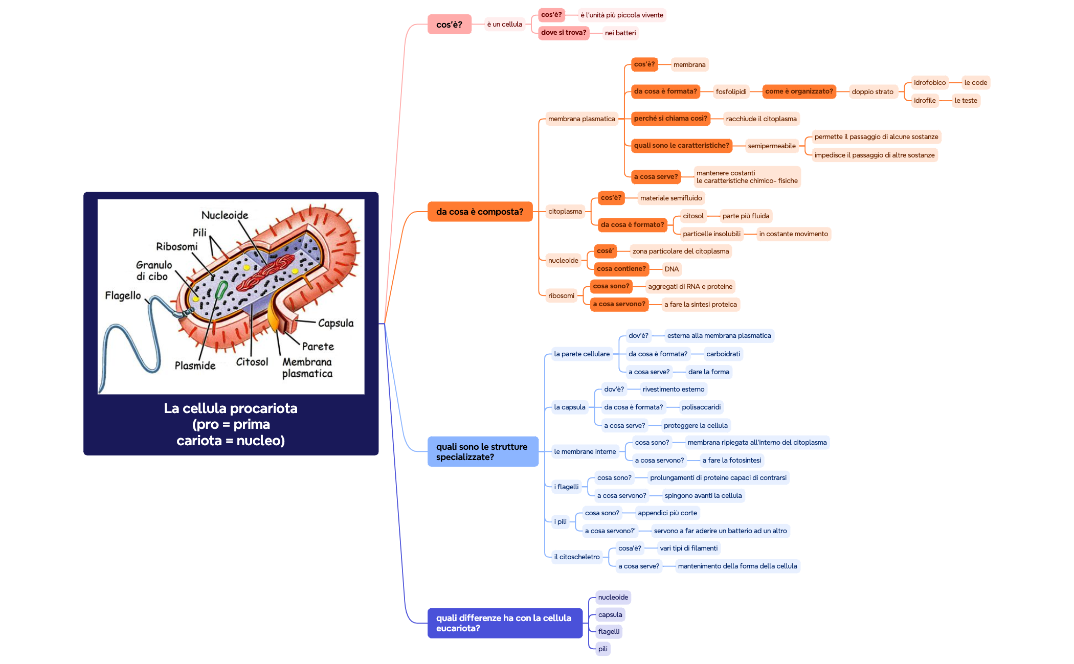 Grafico logico preview 1