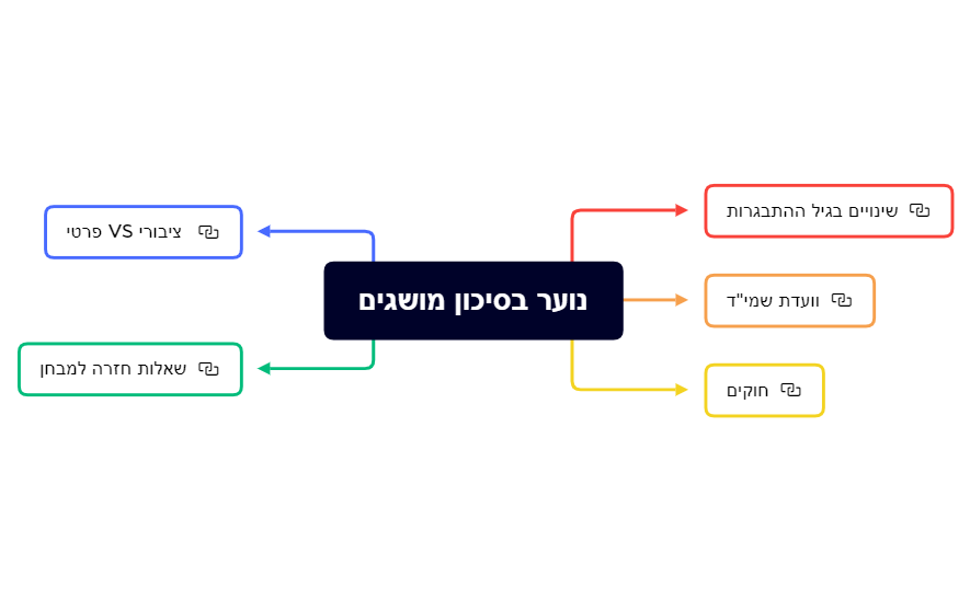 נוער בסיכון מושגים.xmind preview 1
