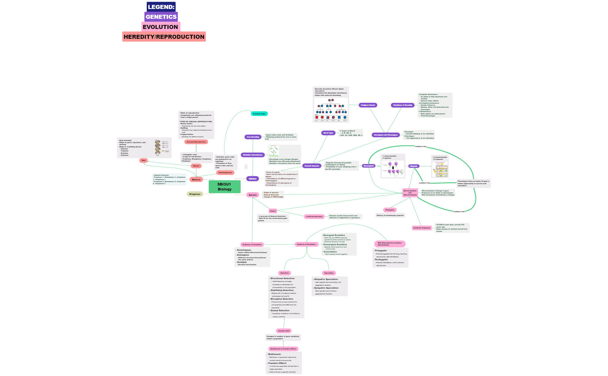 Mind Map preview 1
