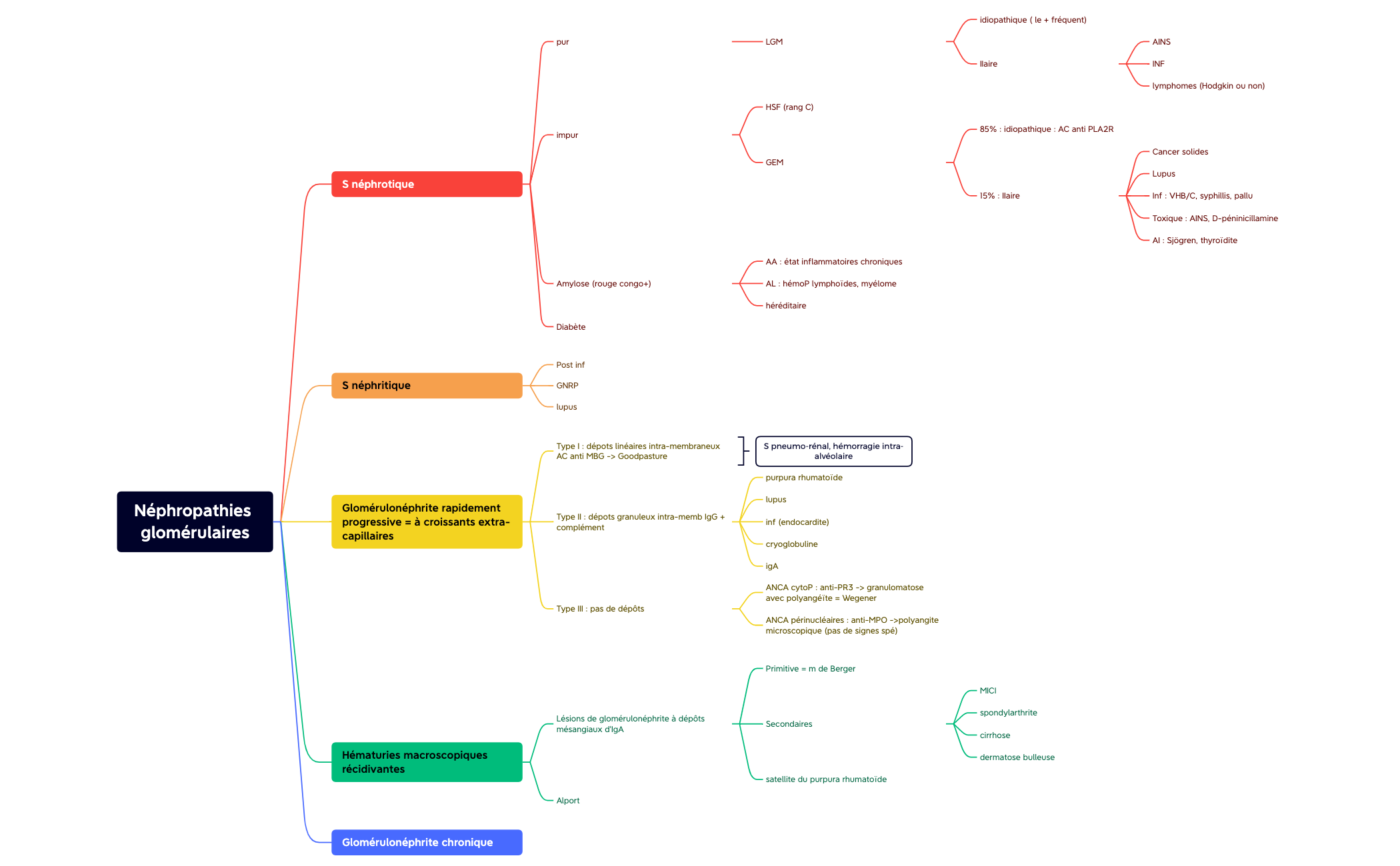 Les syndromes glomérulaires preview 1