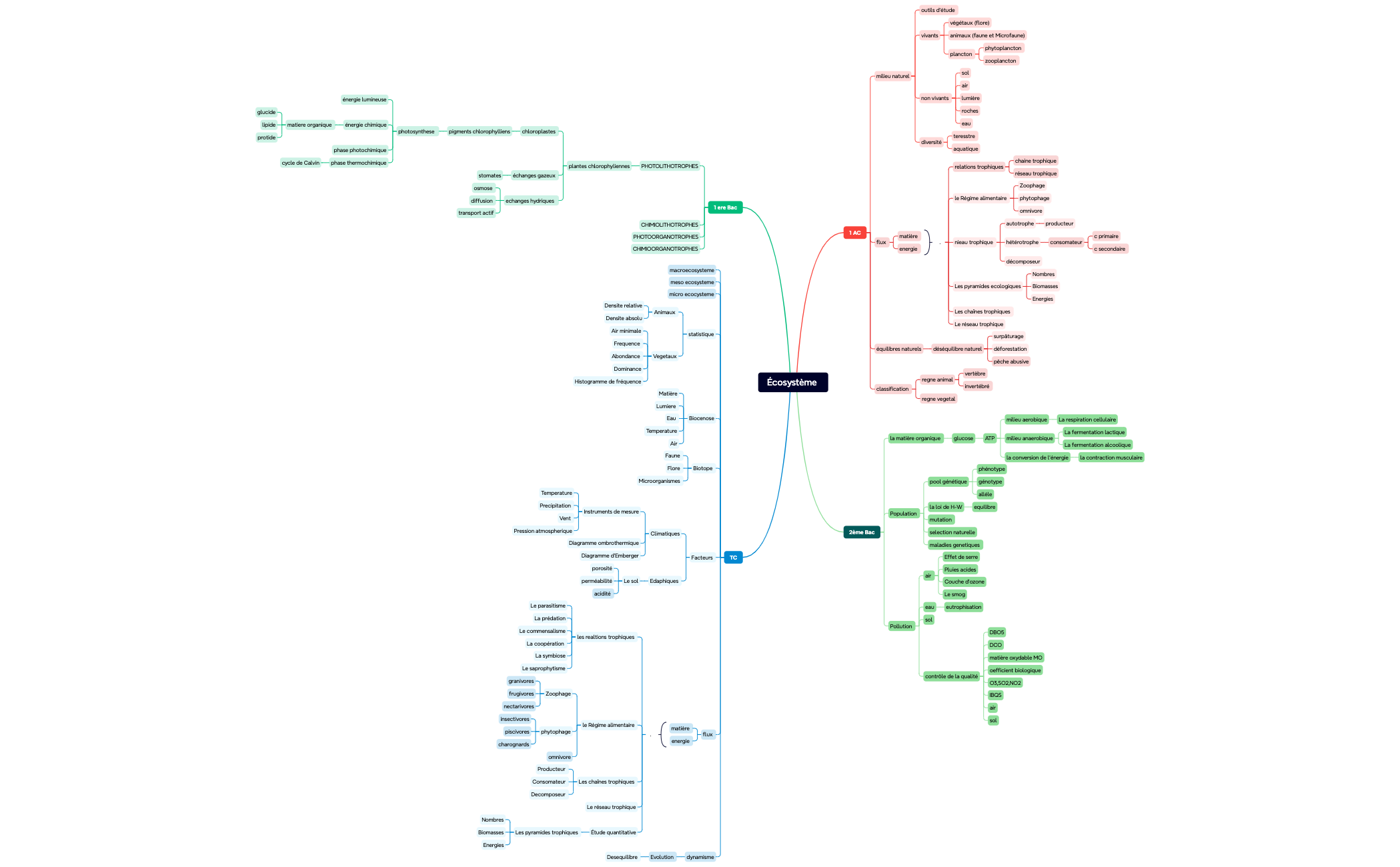 Écosystème 3 - XMind Template