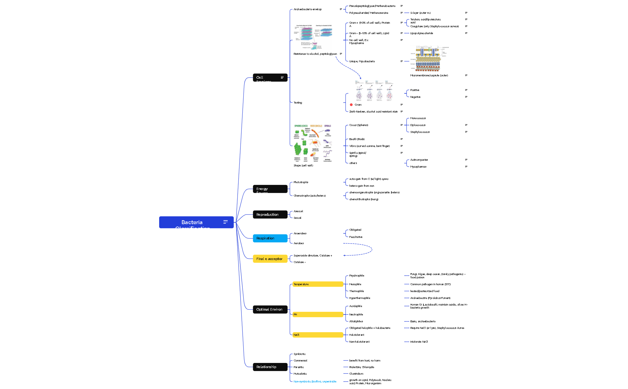 Bacteria Classification preview 1