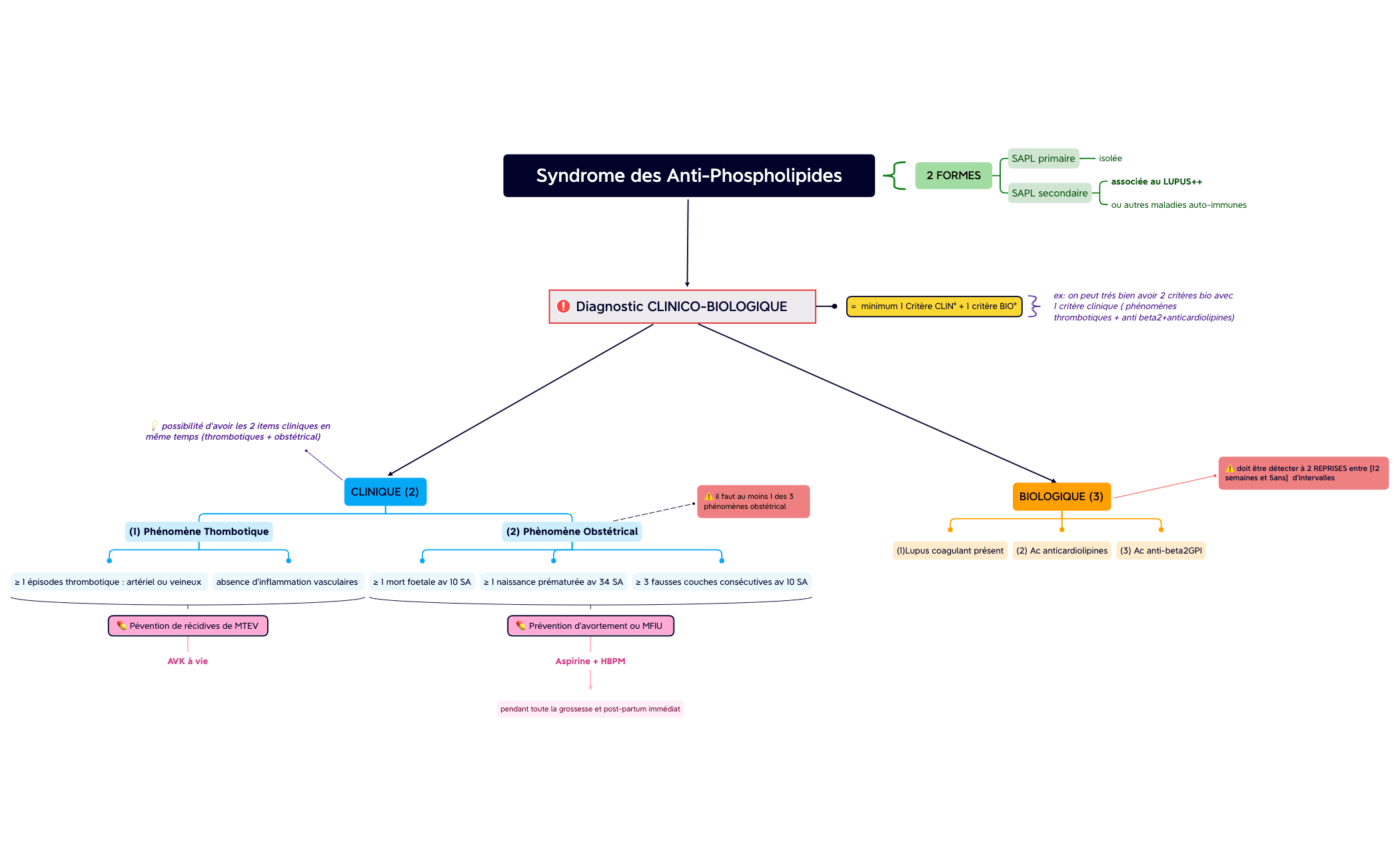 Syndrome des Anti-Phospholipides preview 1