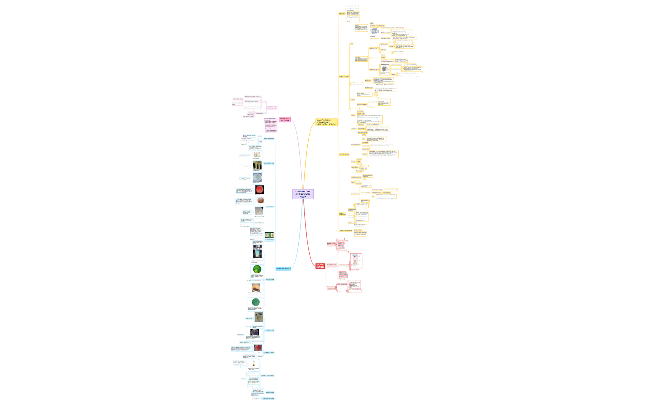 Sterilisation and Culture Media.xmind preview 1