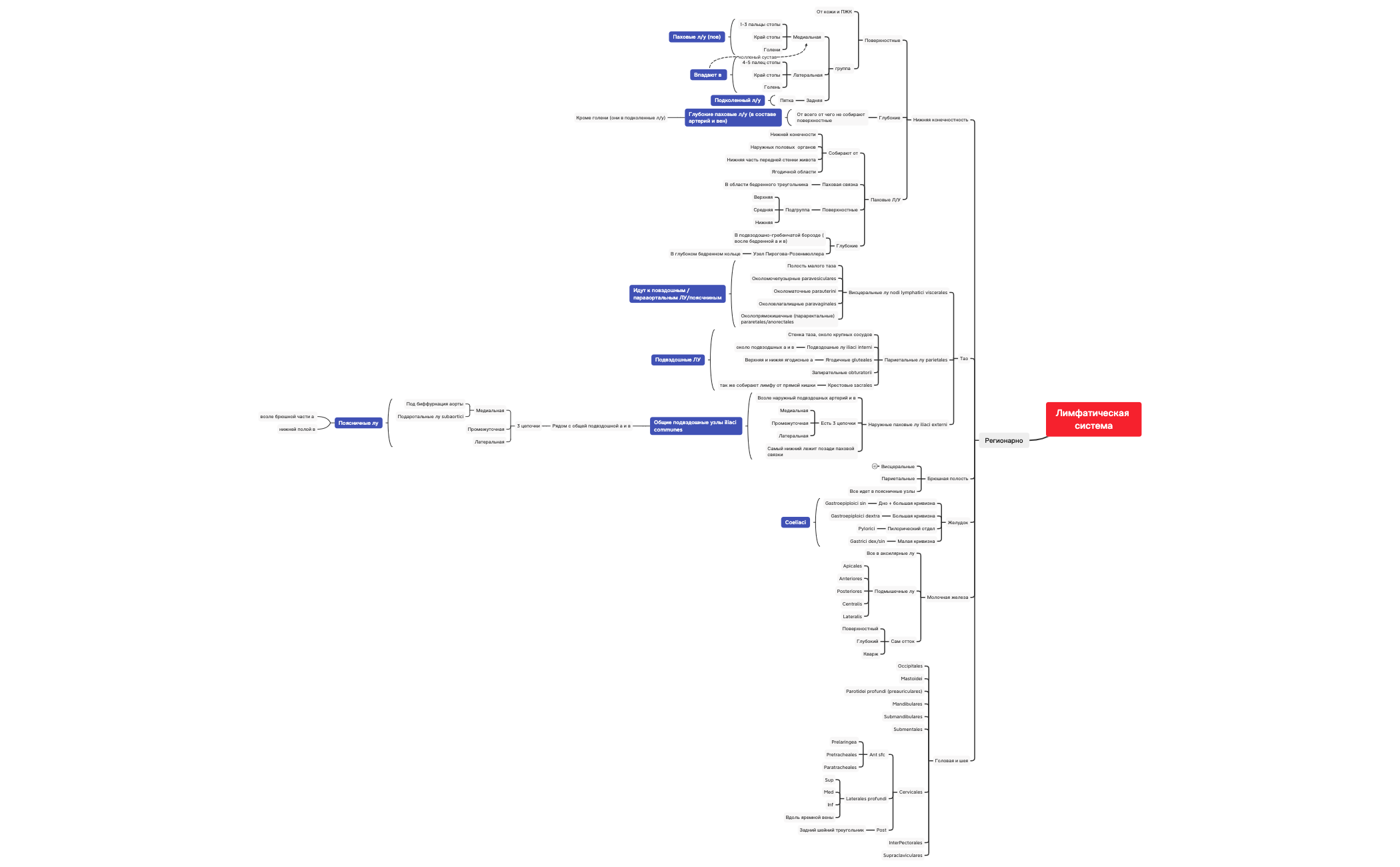 лимфа регионарно preview 1