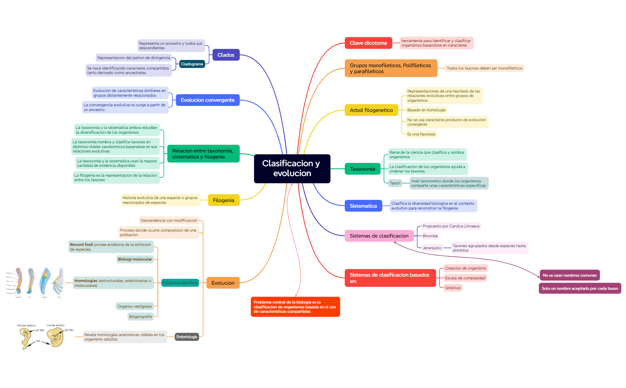 Mapa mental - XMind Template