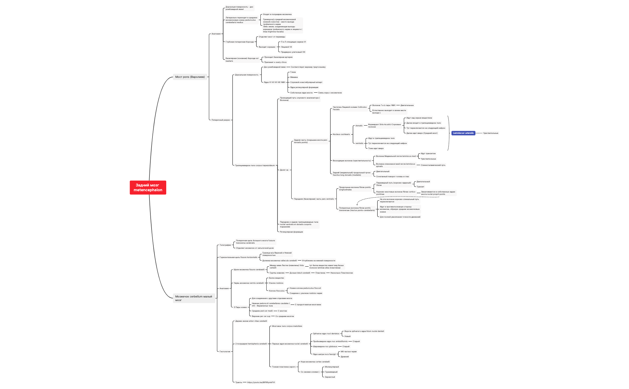 Задний мозг metencephalon preview 1