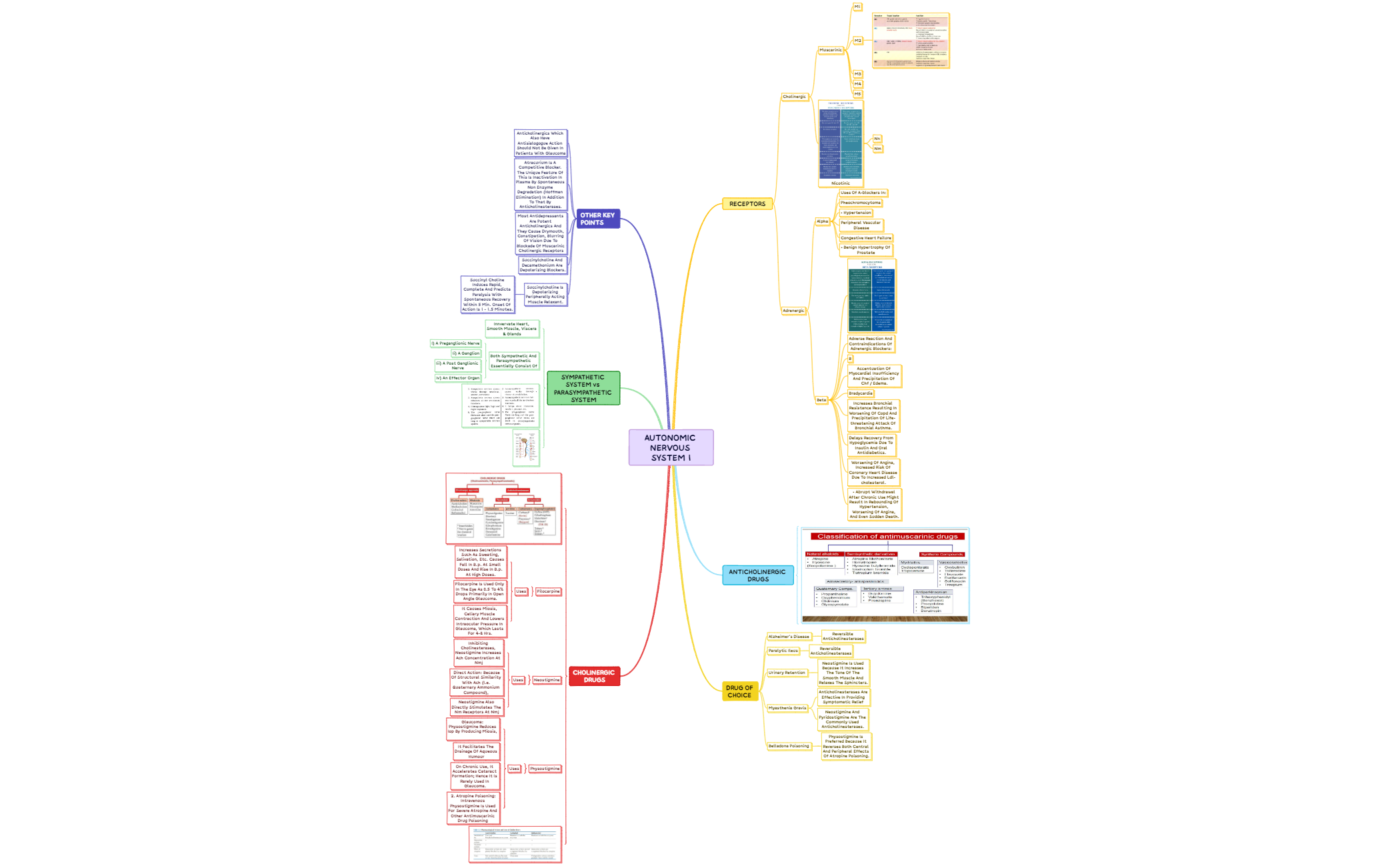 AUTONOMIC NERVOUS SYSTEM 1 preview 1