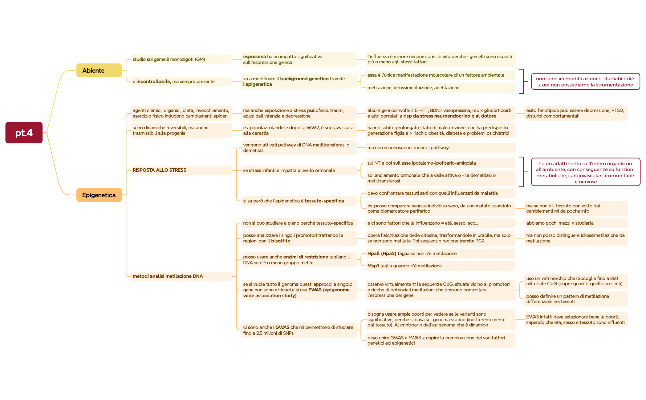 Mappa 4 - XMind Template