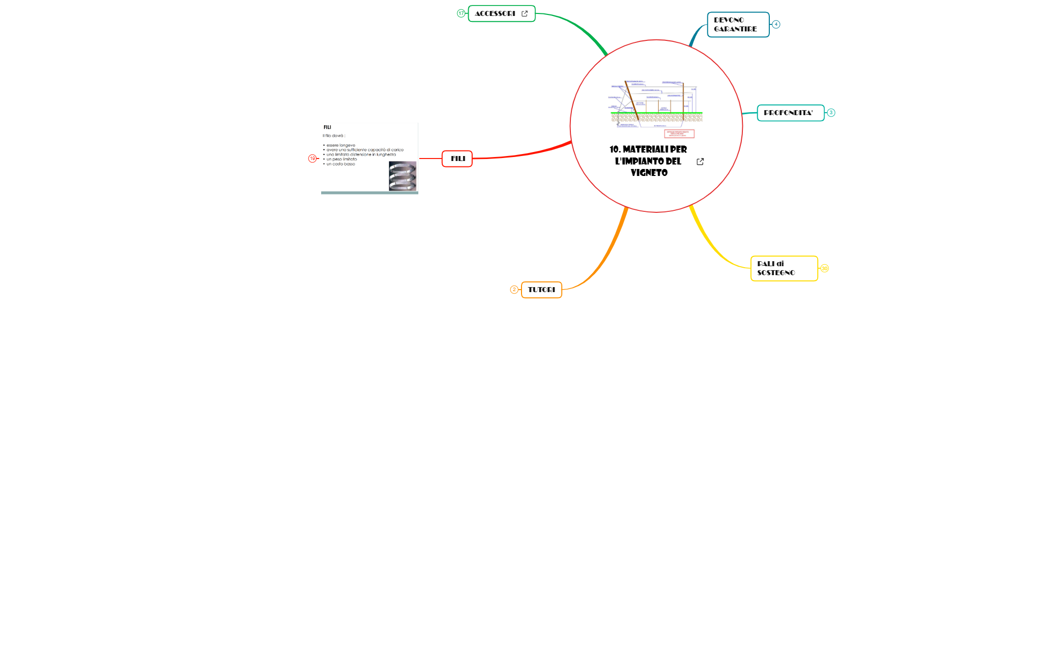 10. MATERIALI per l'IMPIANTO del VIGNETO preview 1