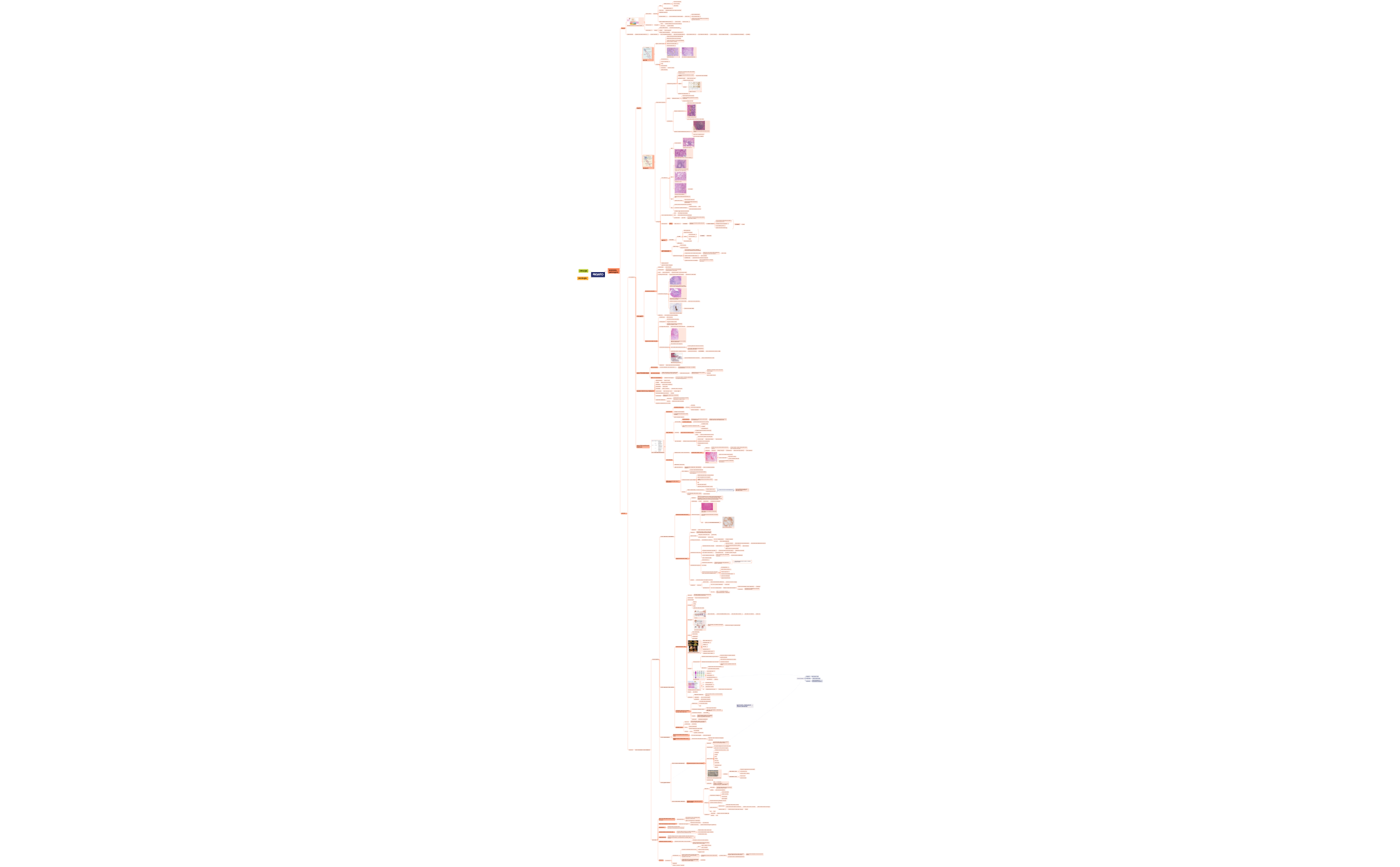 Mappa mentale preview 1