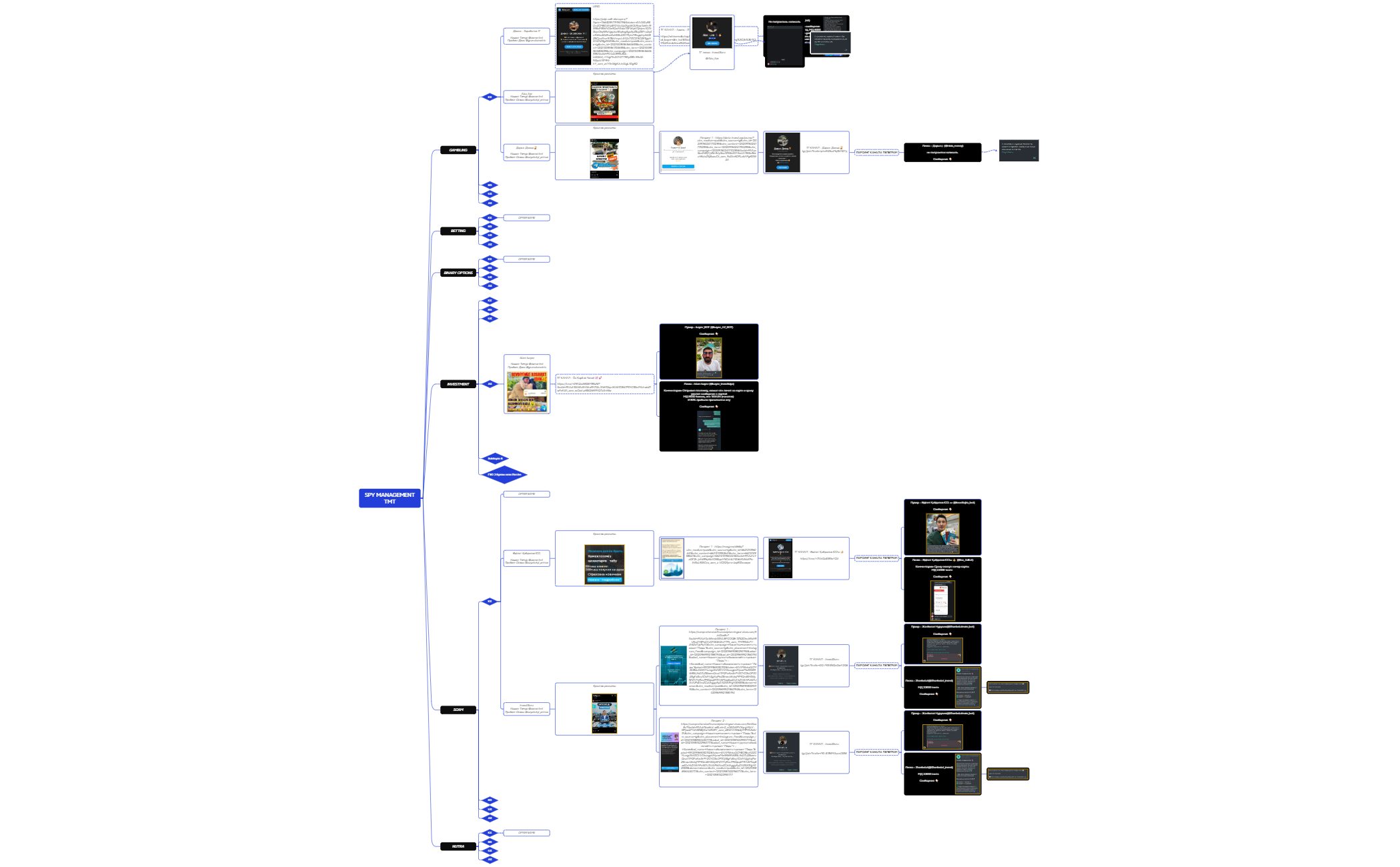 SPY MANAGEMENTTMT preview 1